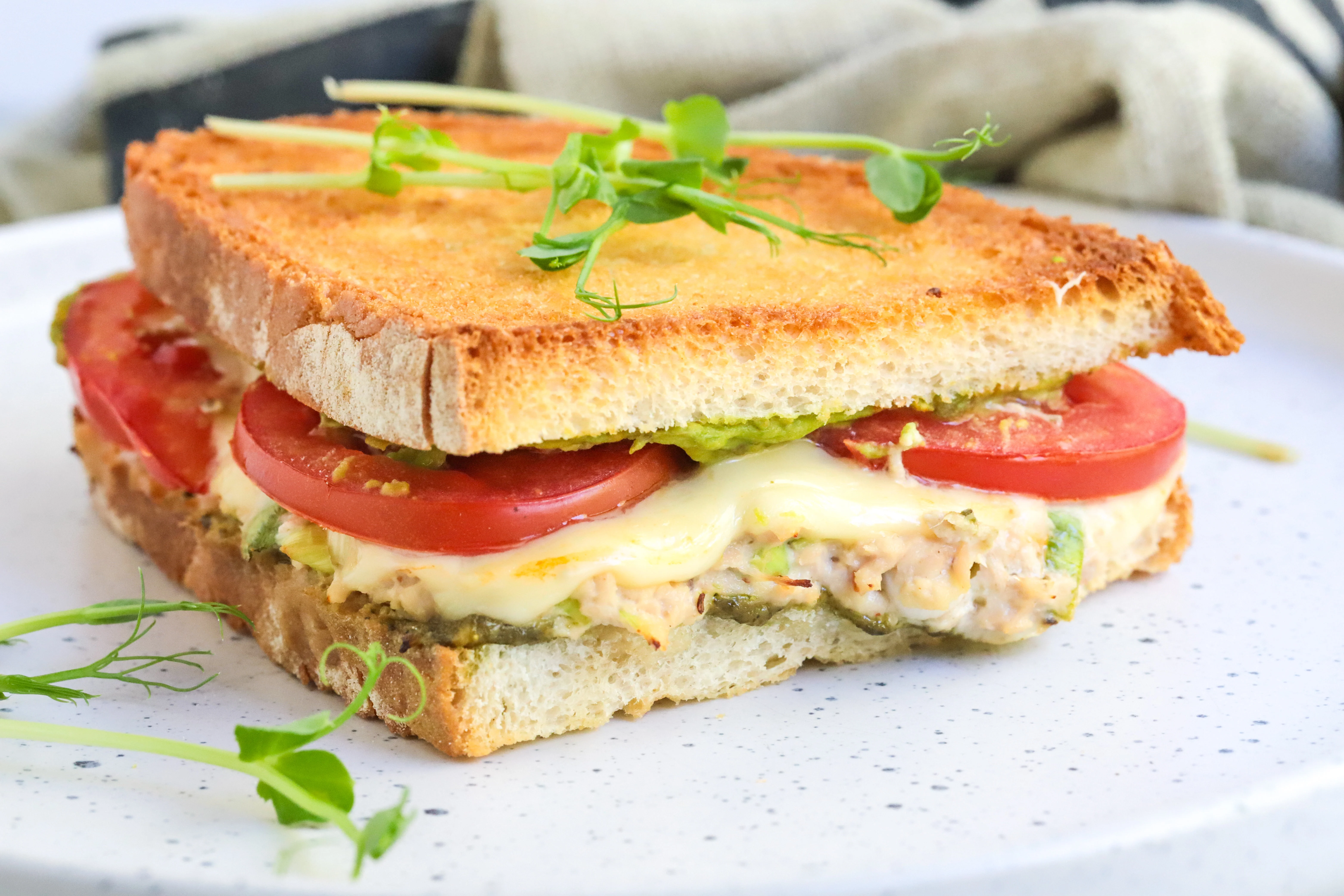 pesto-tuna-melt