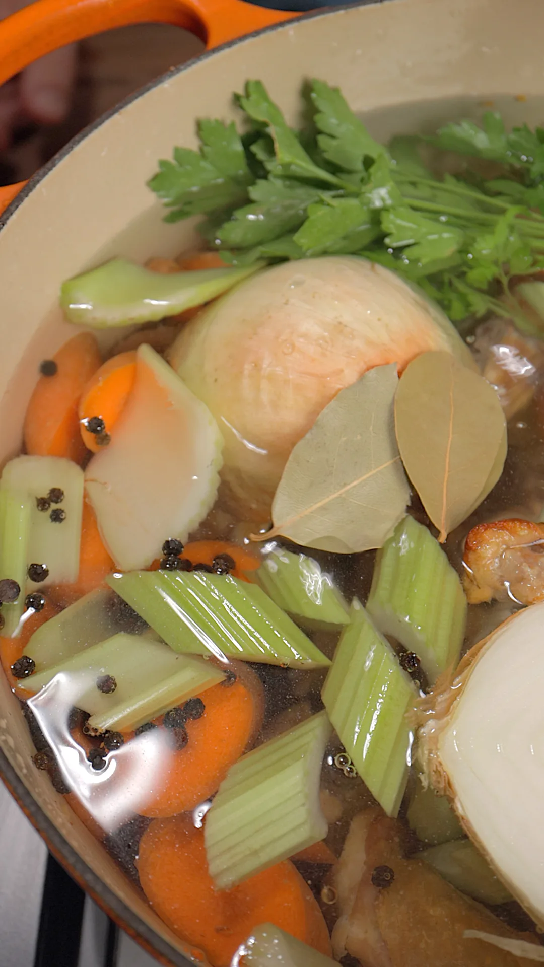 caldo-de-pollo-marron-brown-chicken-soup