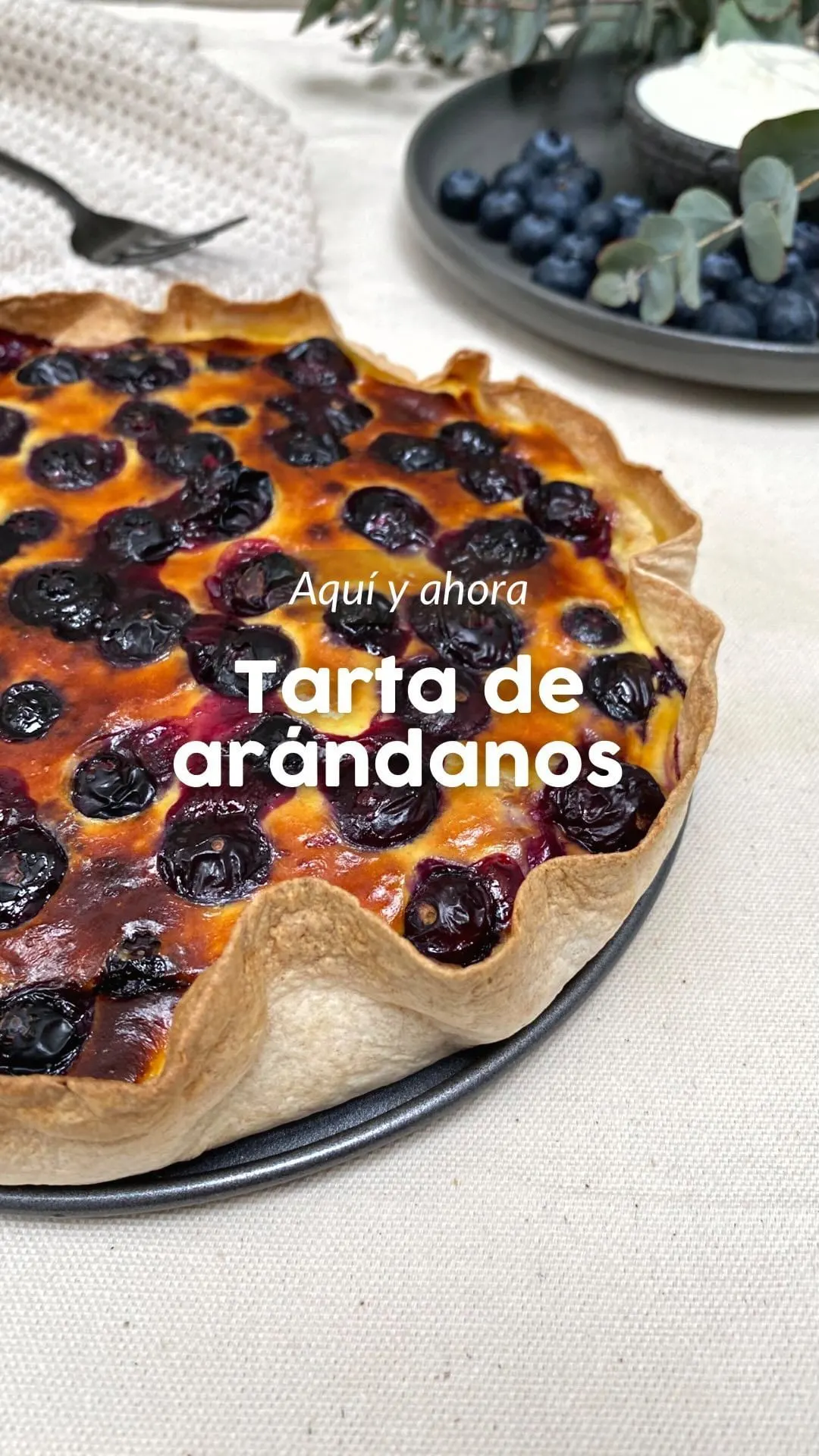 tarta-de-arandanos