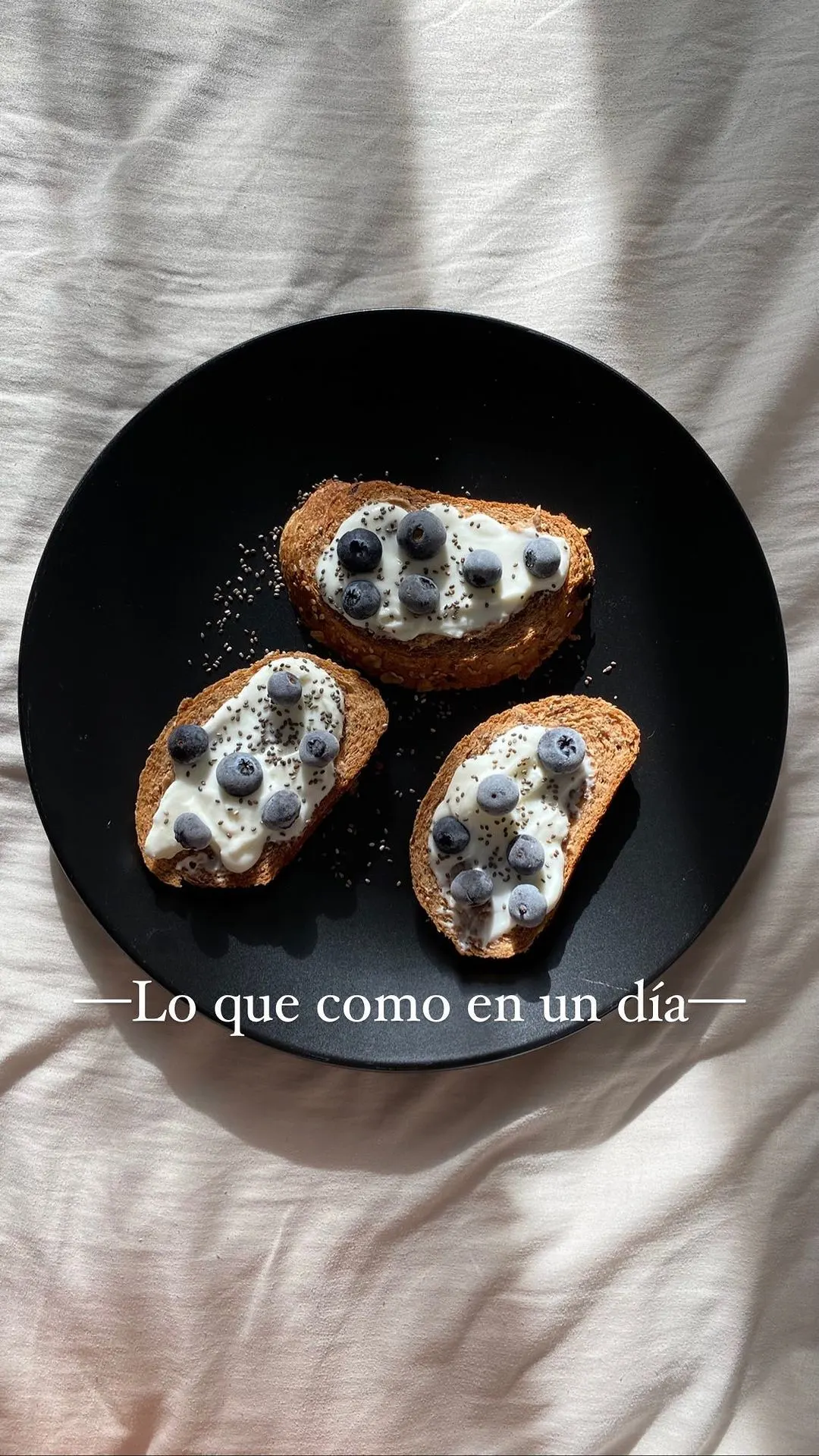 lo-que-como-en-un-dia