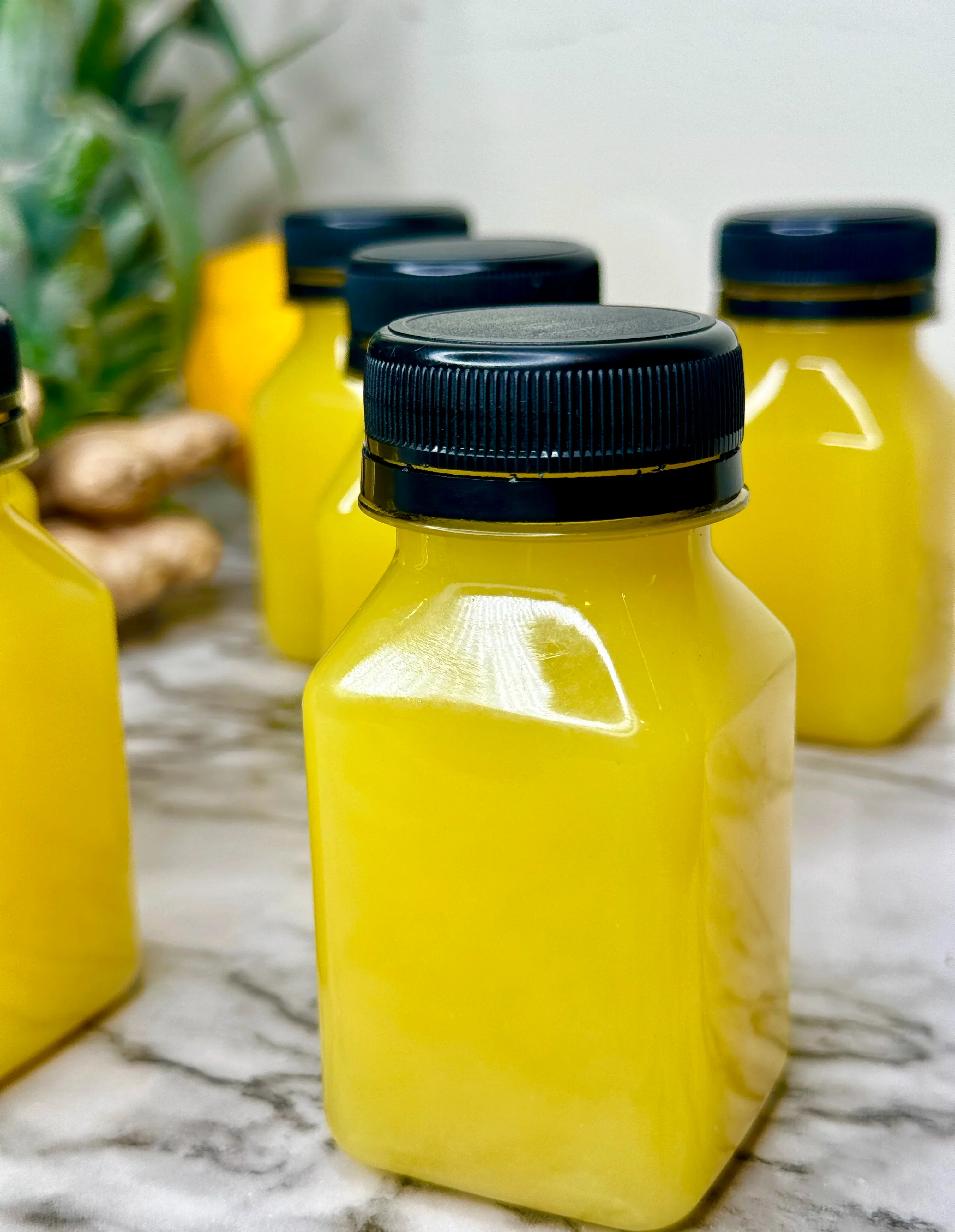 ginger-shots