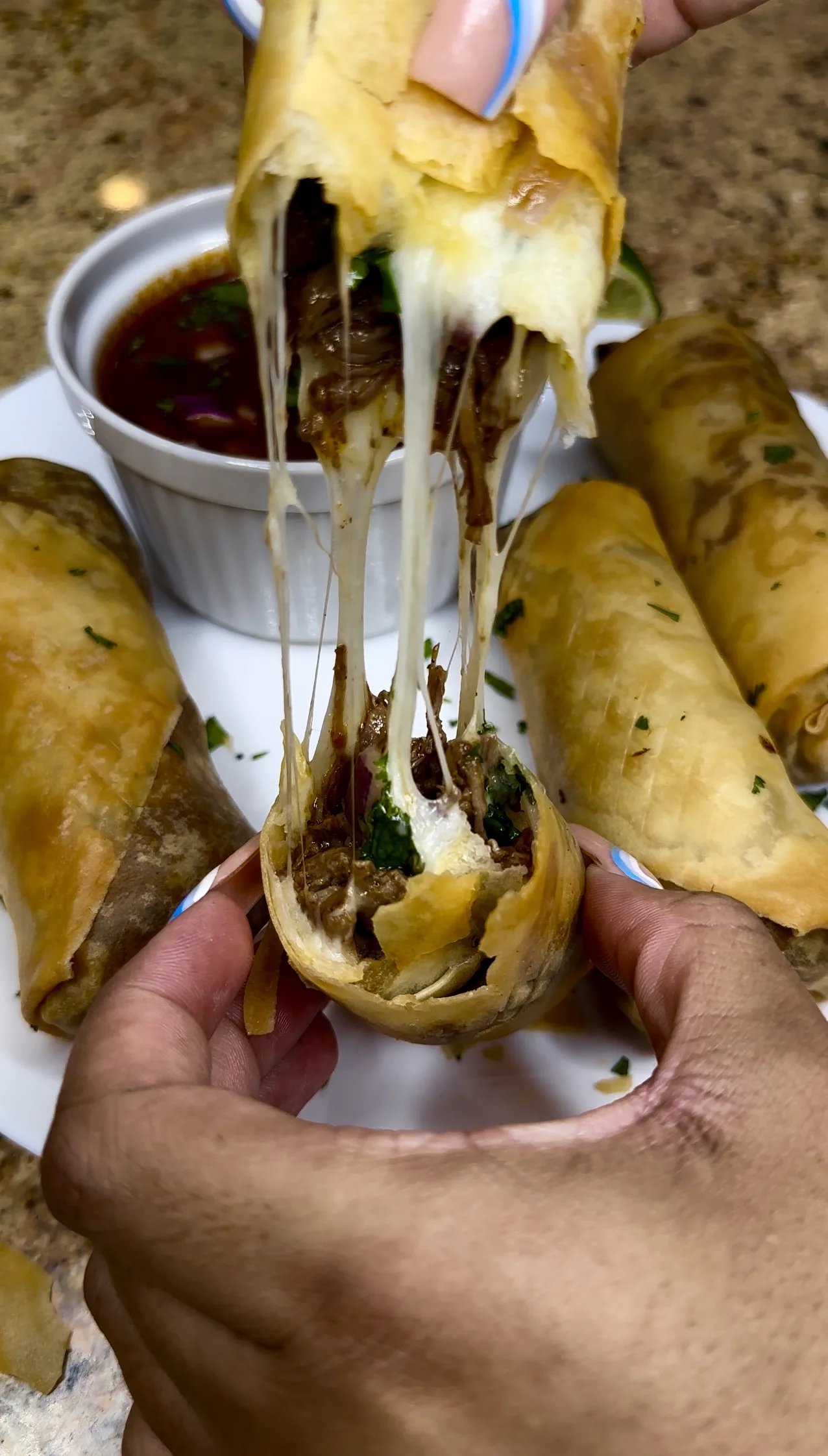 birria-eggroll-recipe
