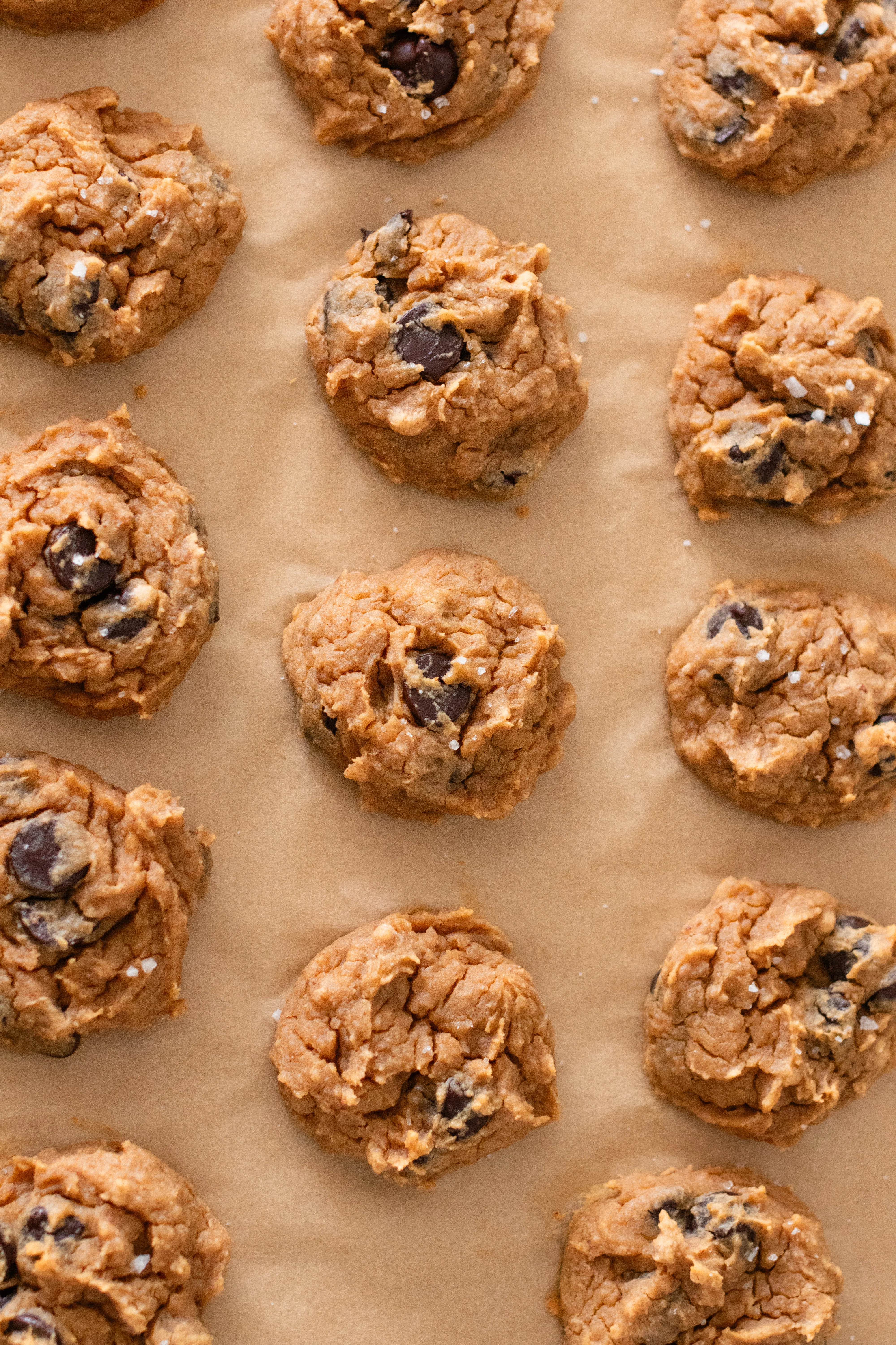 chickpea-chocolate-chip-cookies