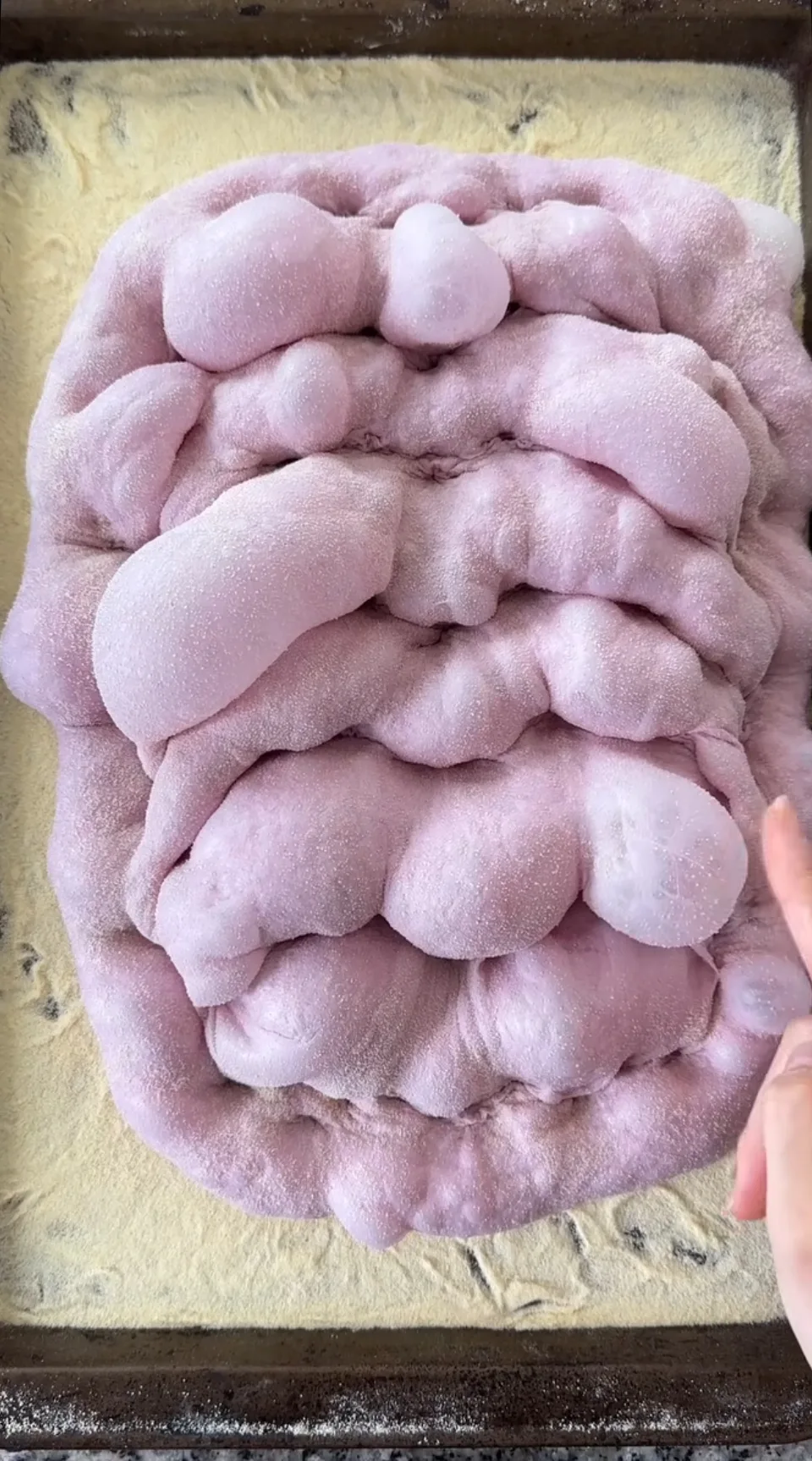 purple-pala-romana
