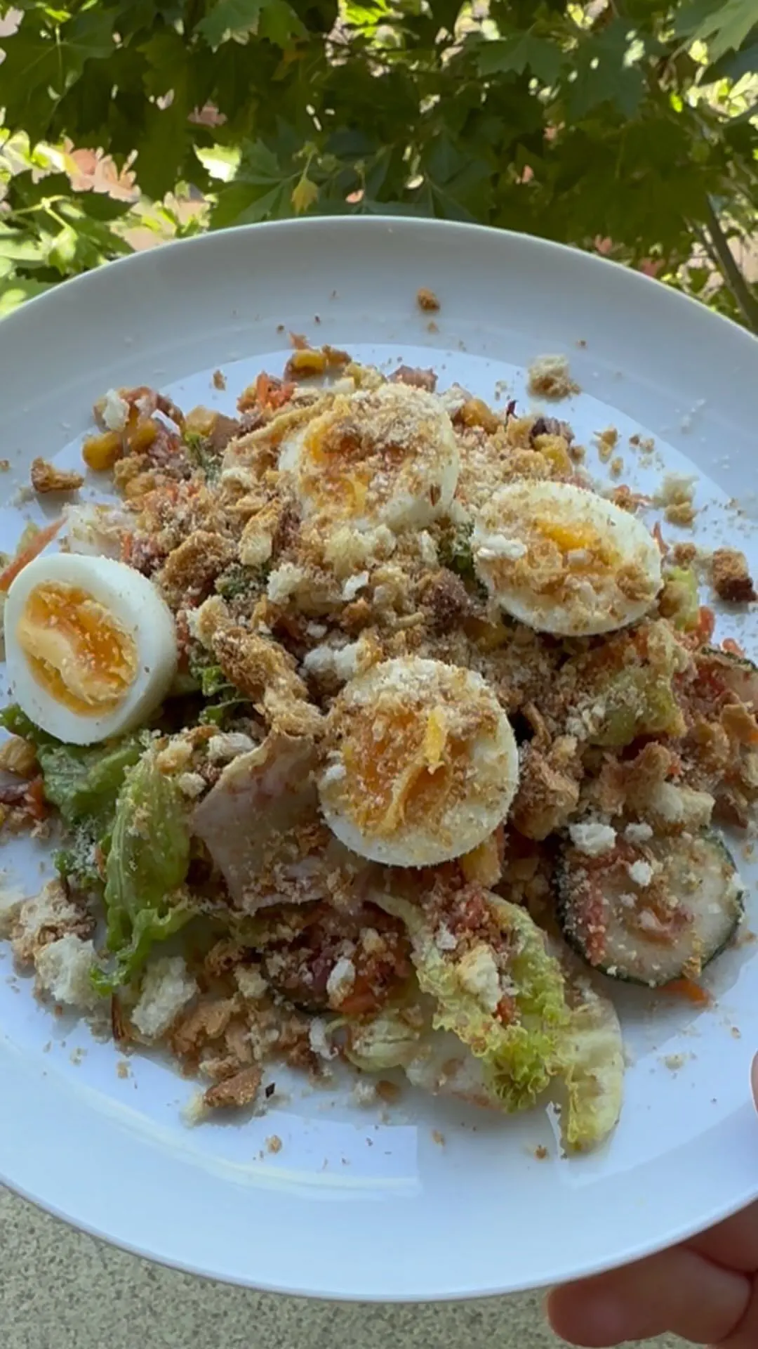 ensalada-mixta-con-ciruela