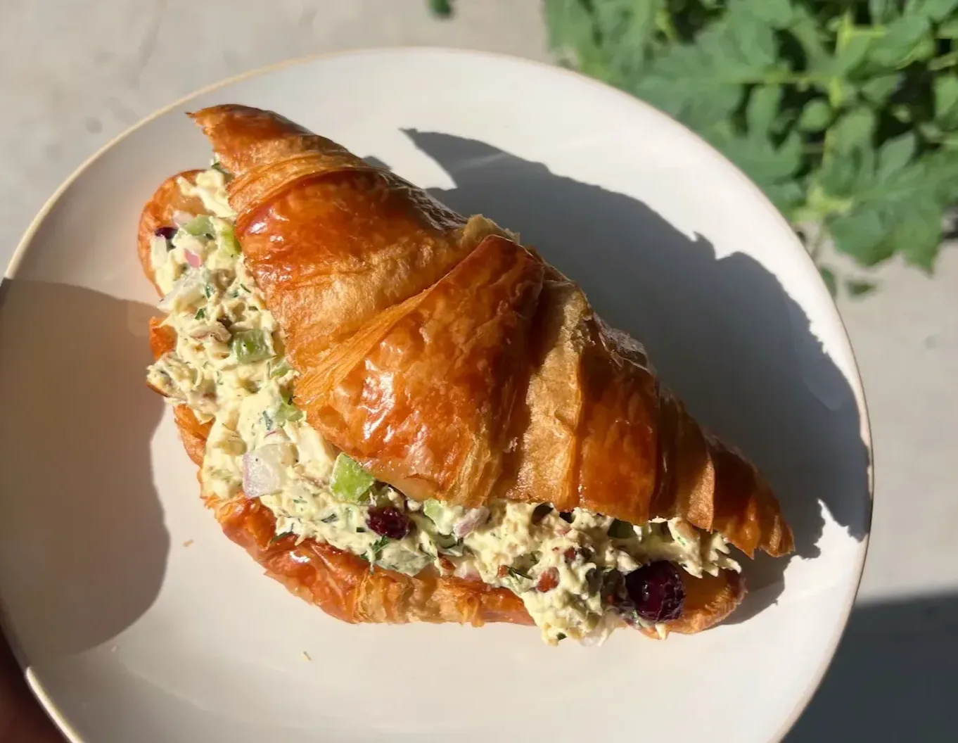 chicken-salad