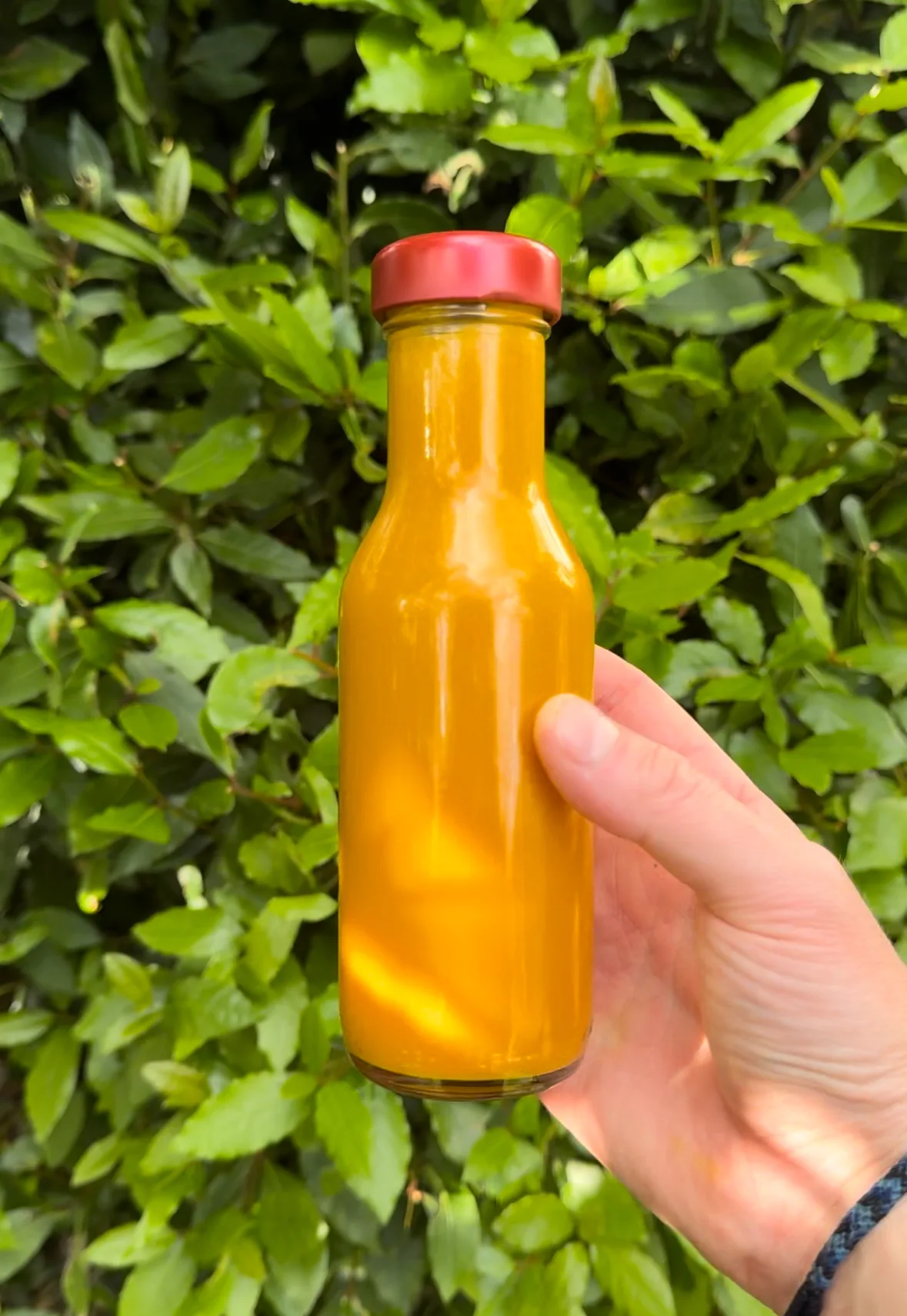 nectarine-hot-sauce!!