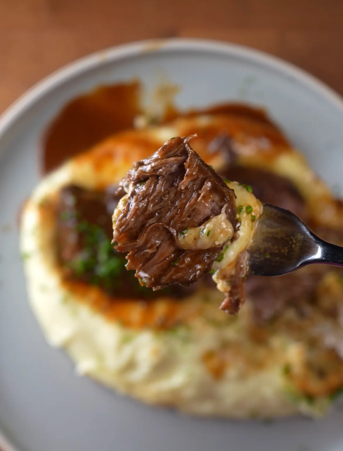 braised-short-ribs
