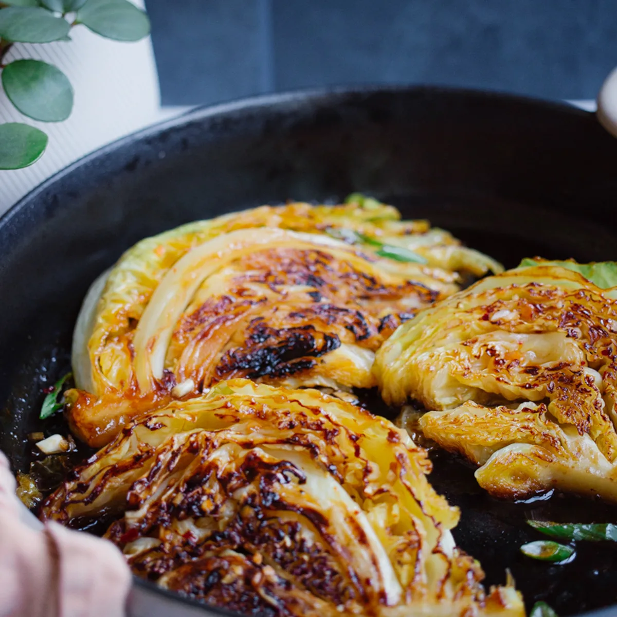 sesame-braised-cabbage