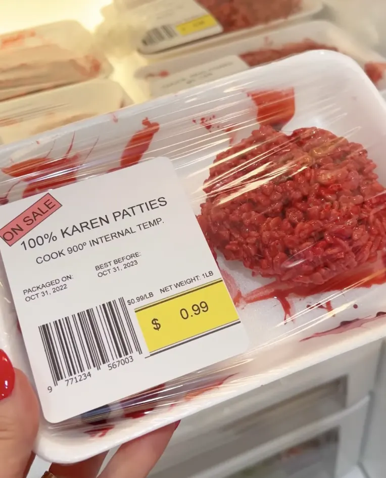 edible-ground-beef
