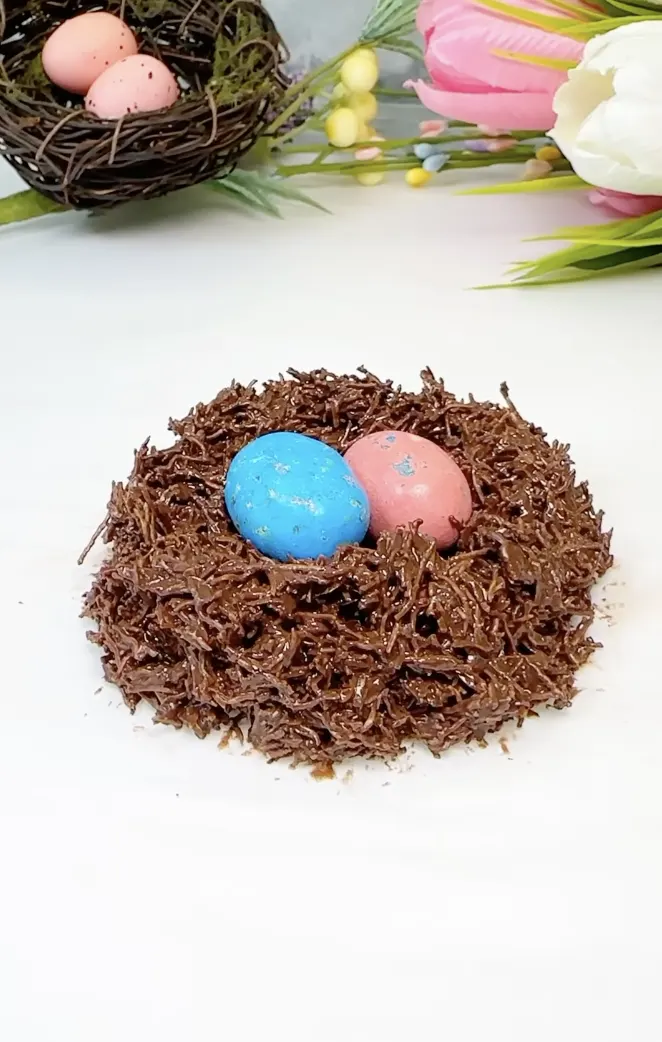 robin-egg-nests