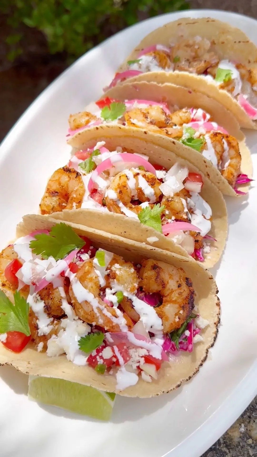 grilled-shrimp-tacos