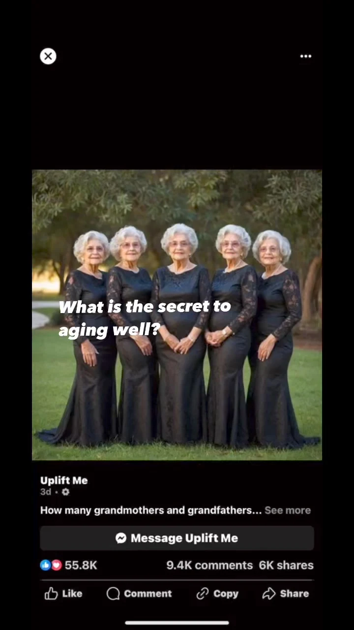 3401517090131578183