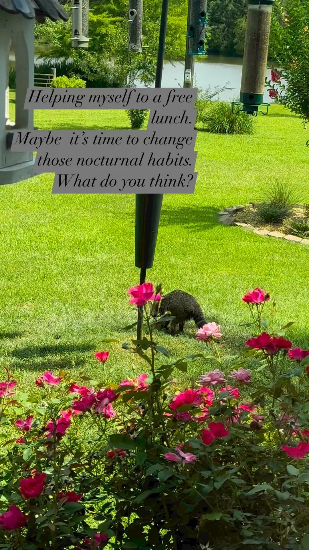 3393234069077971561