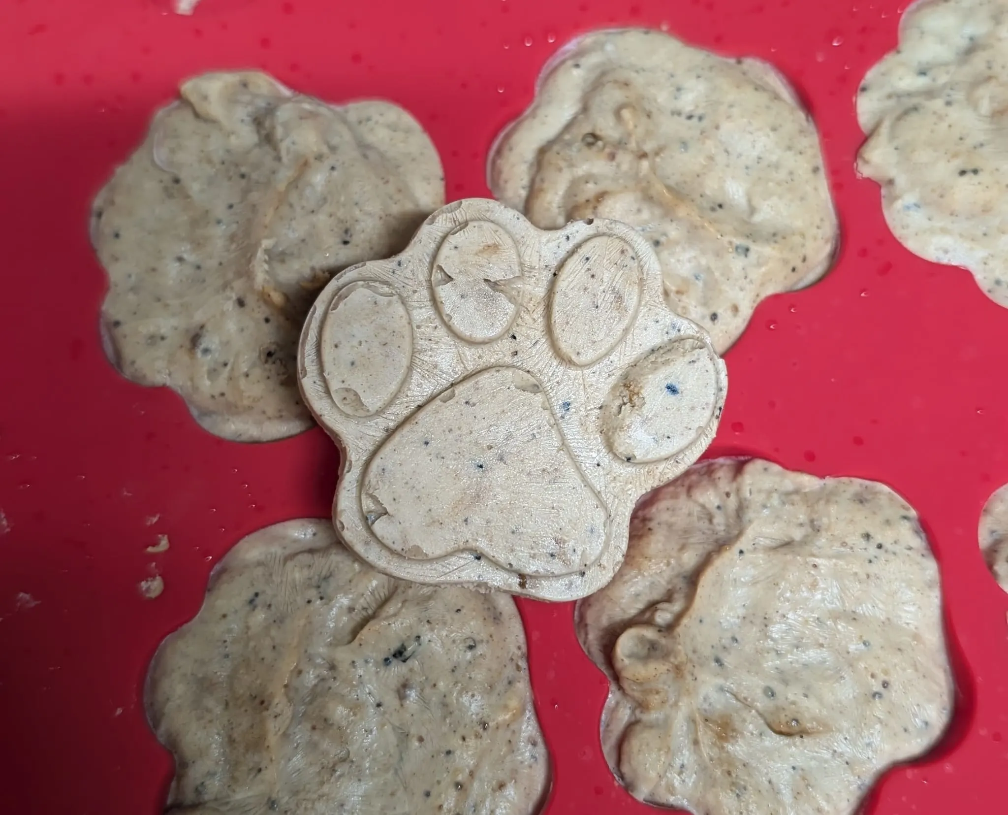 good-dog-peanut-butter-yogurt-treat