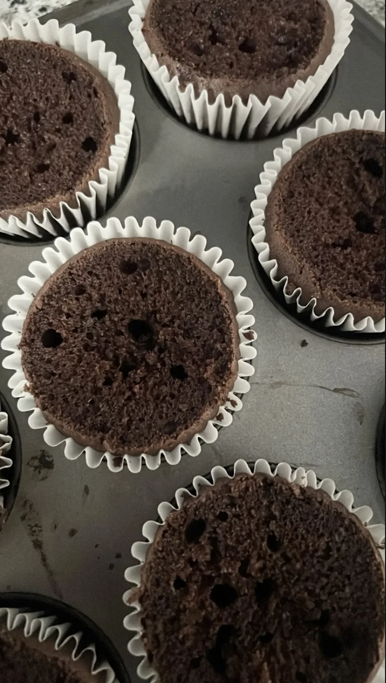 chocolate-sponge-cake