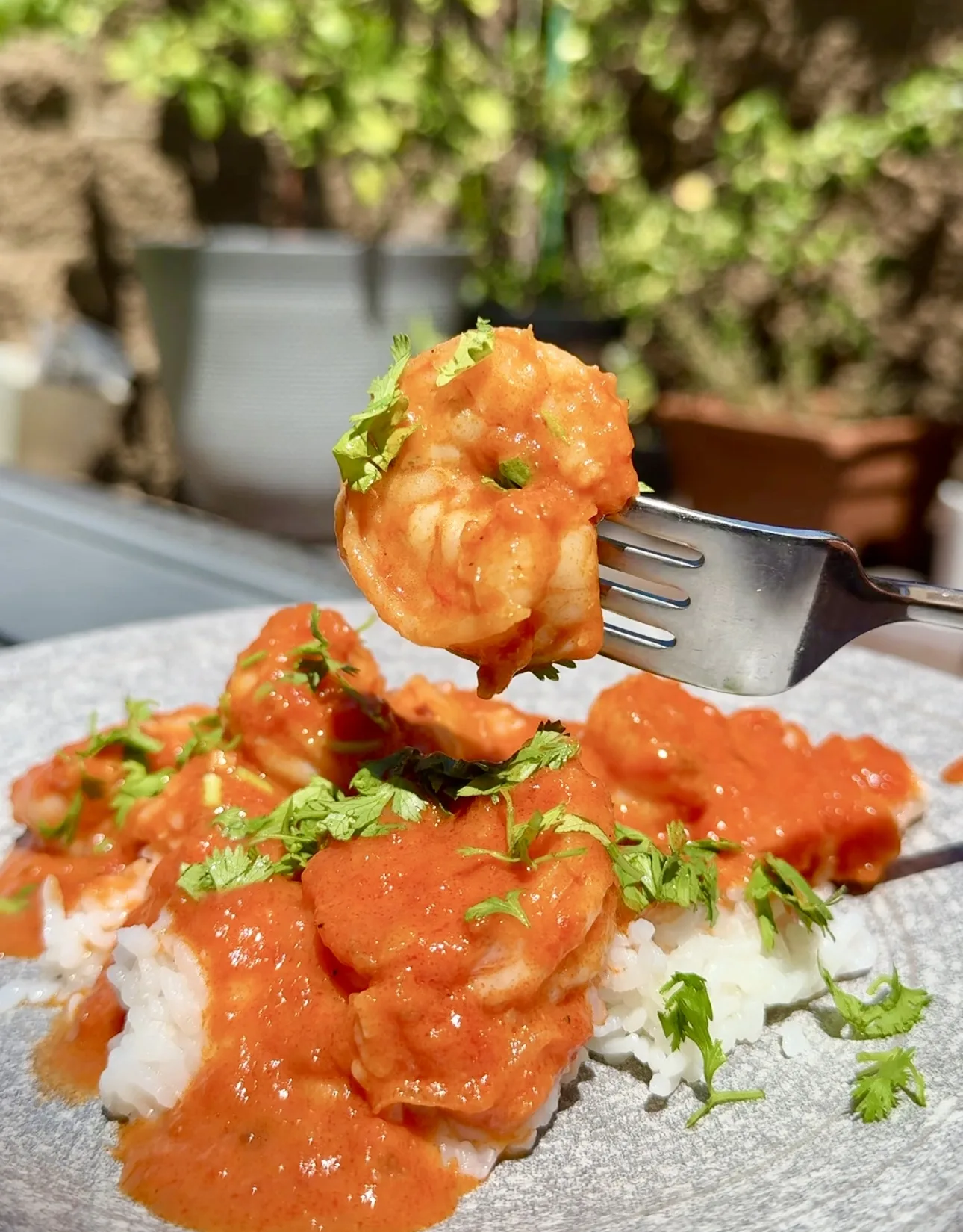 spicy-vodka-shrimp