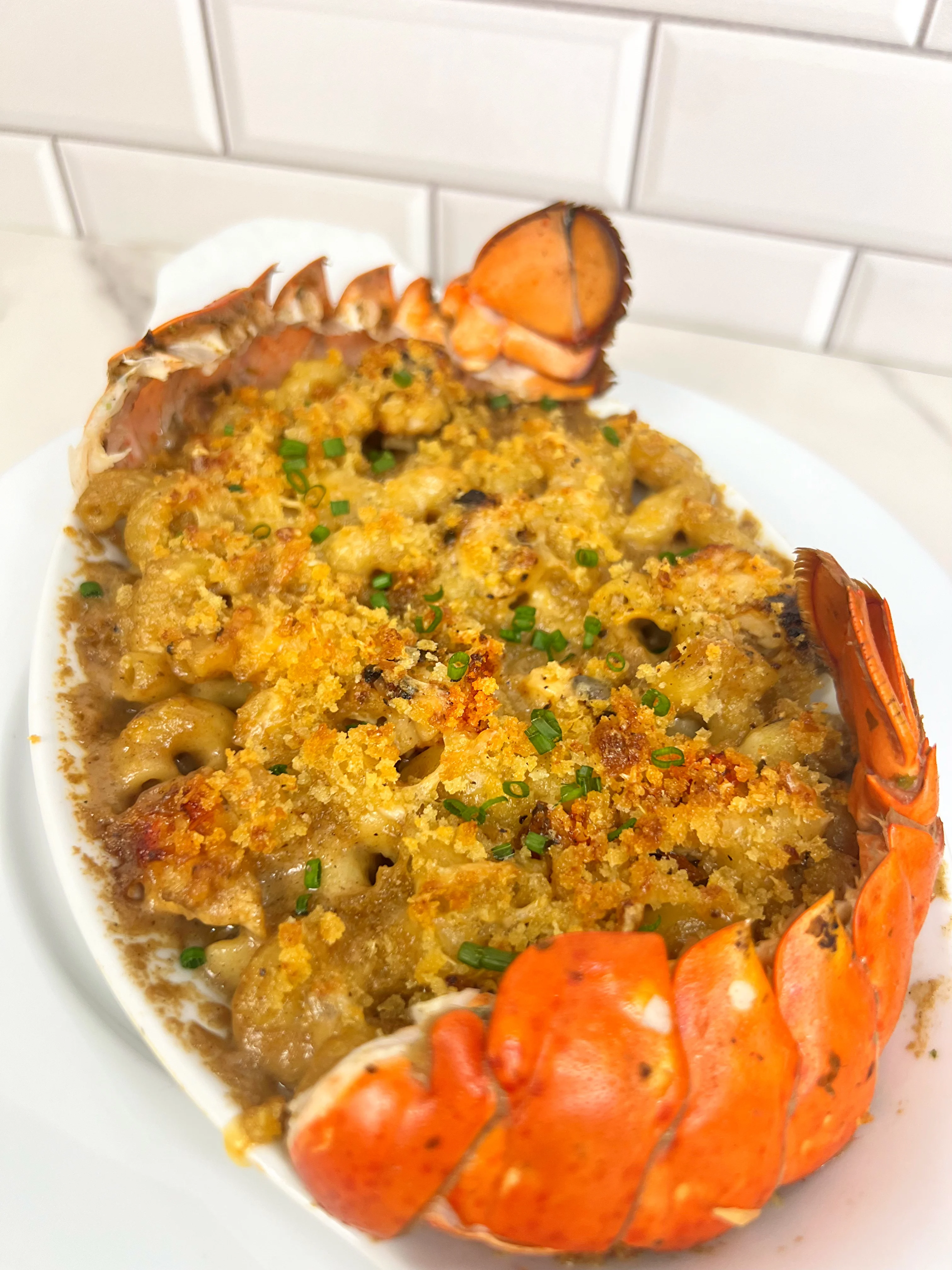 lobster-mac-and-cheese