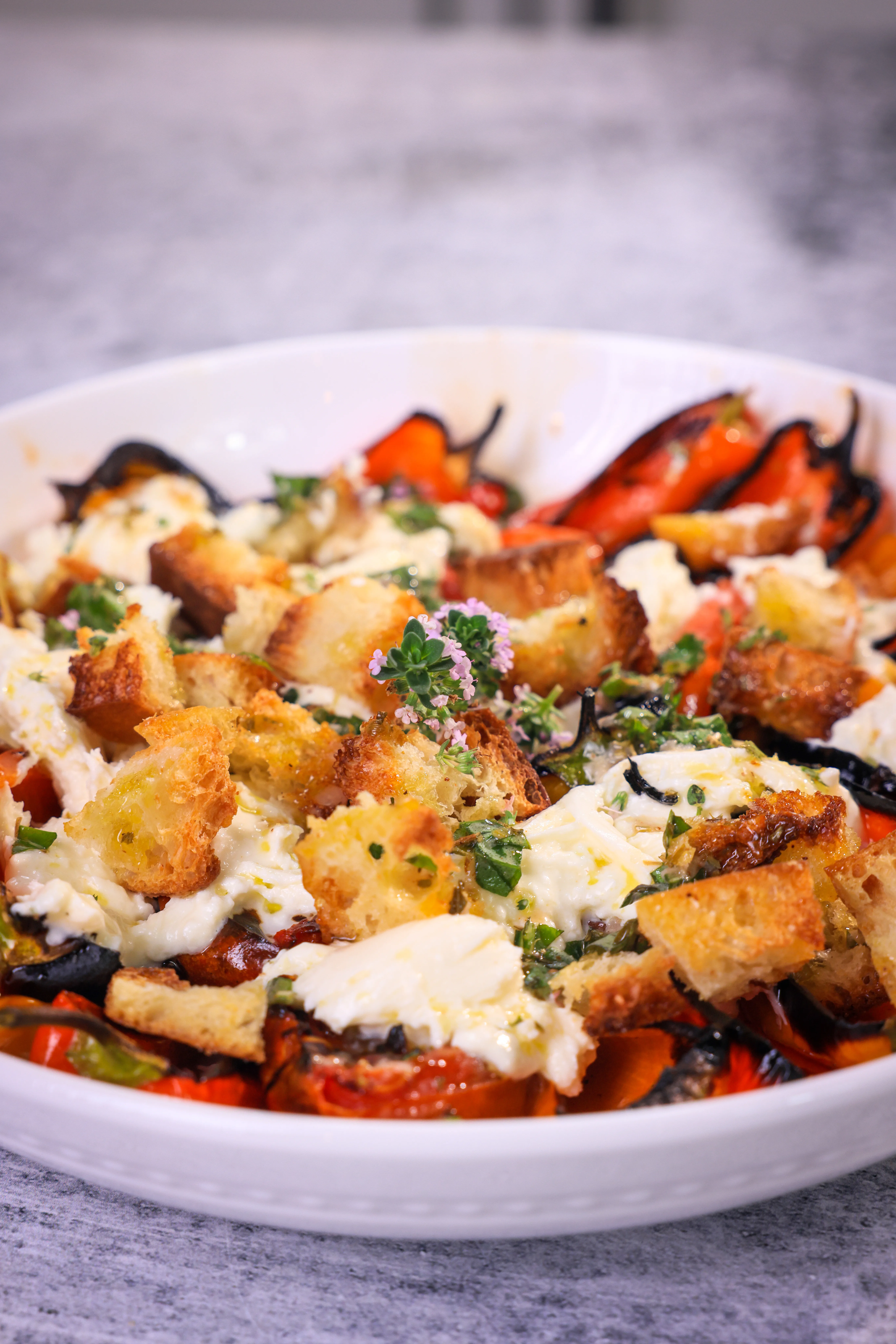 charred-pepper-burrata-fusion