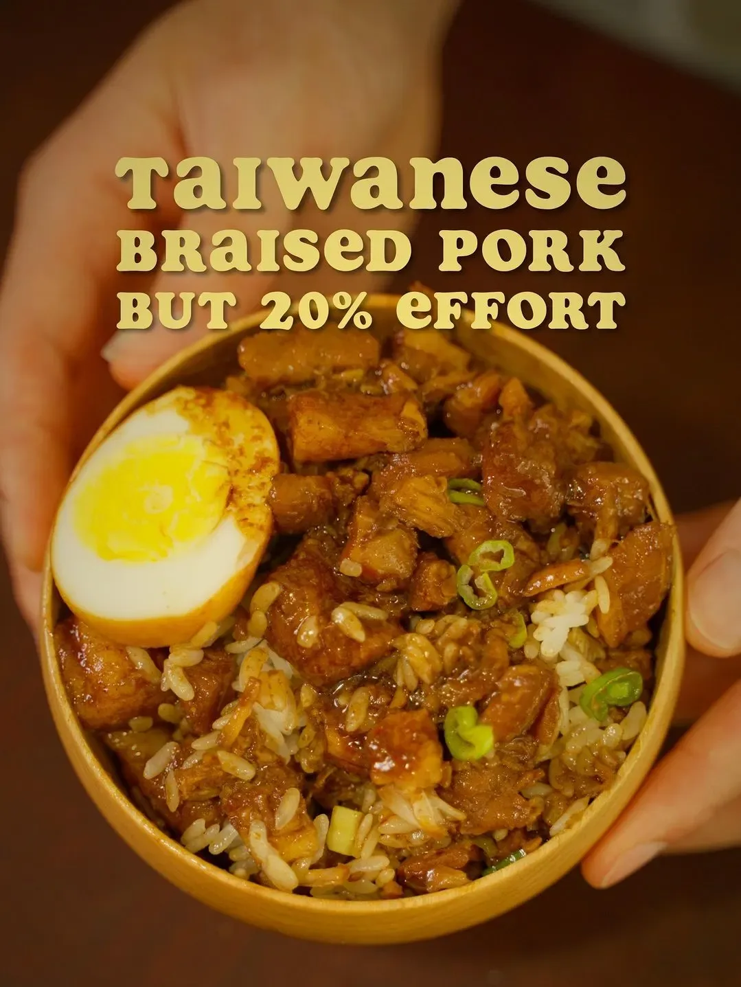 8020:-taiwanese-braised-pork-rice