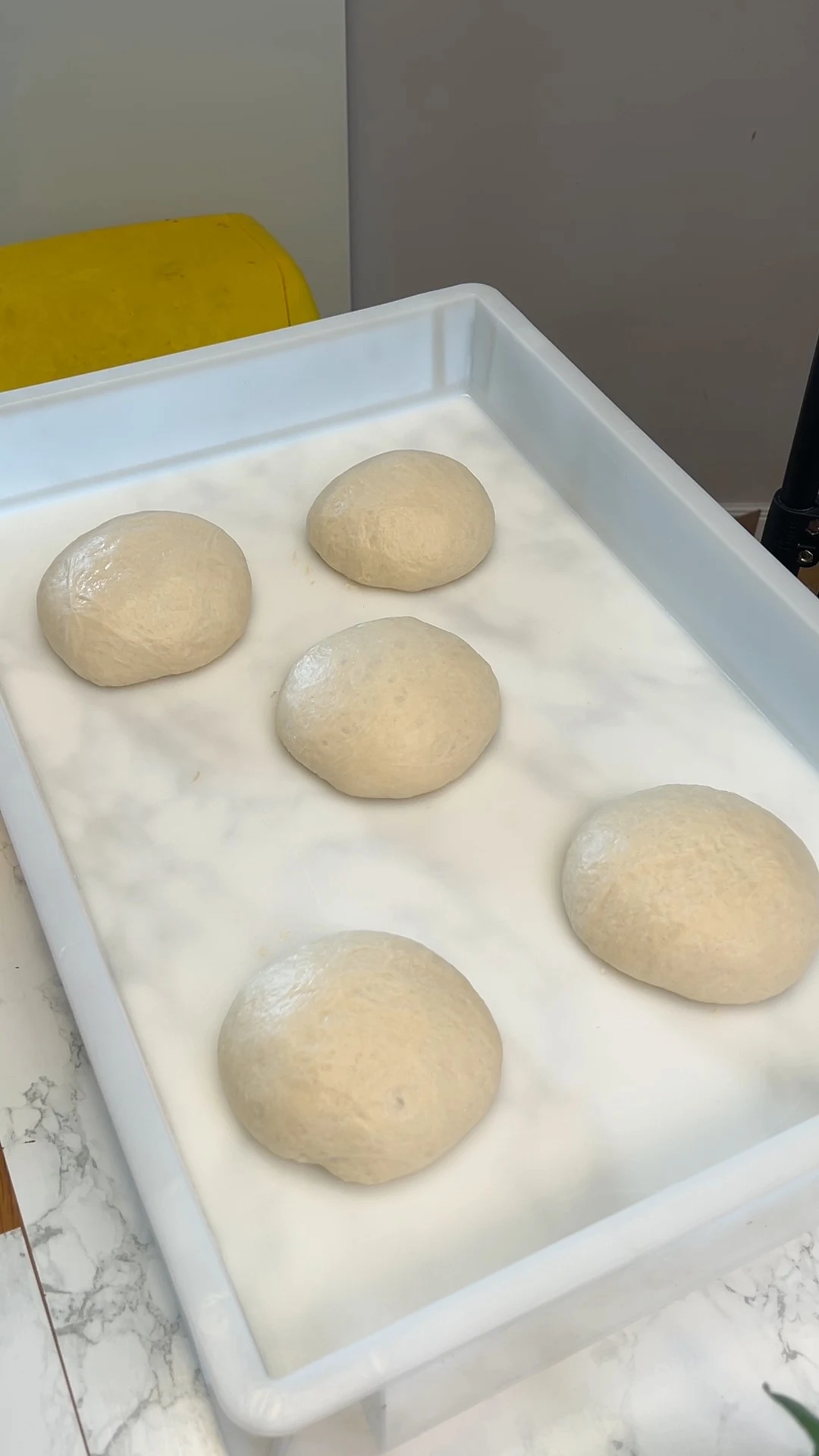 masa-de-pizza-pizza-dough