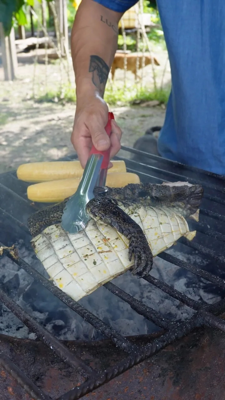 lagarto-a-la-parrilla-grilled-lizard