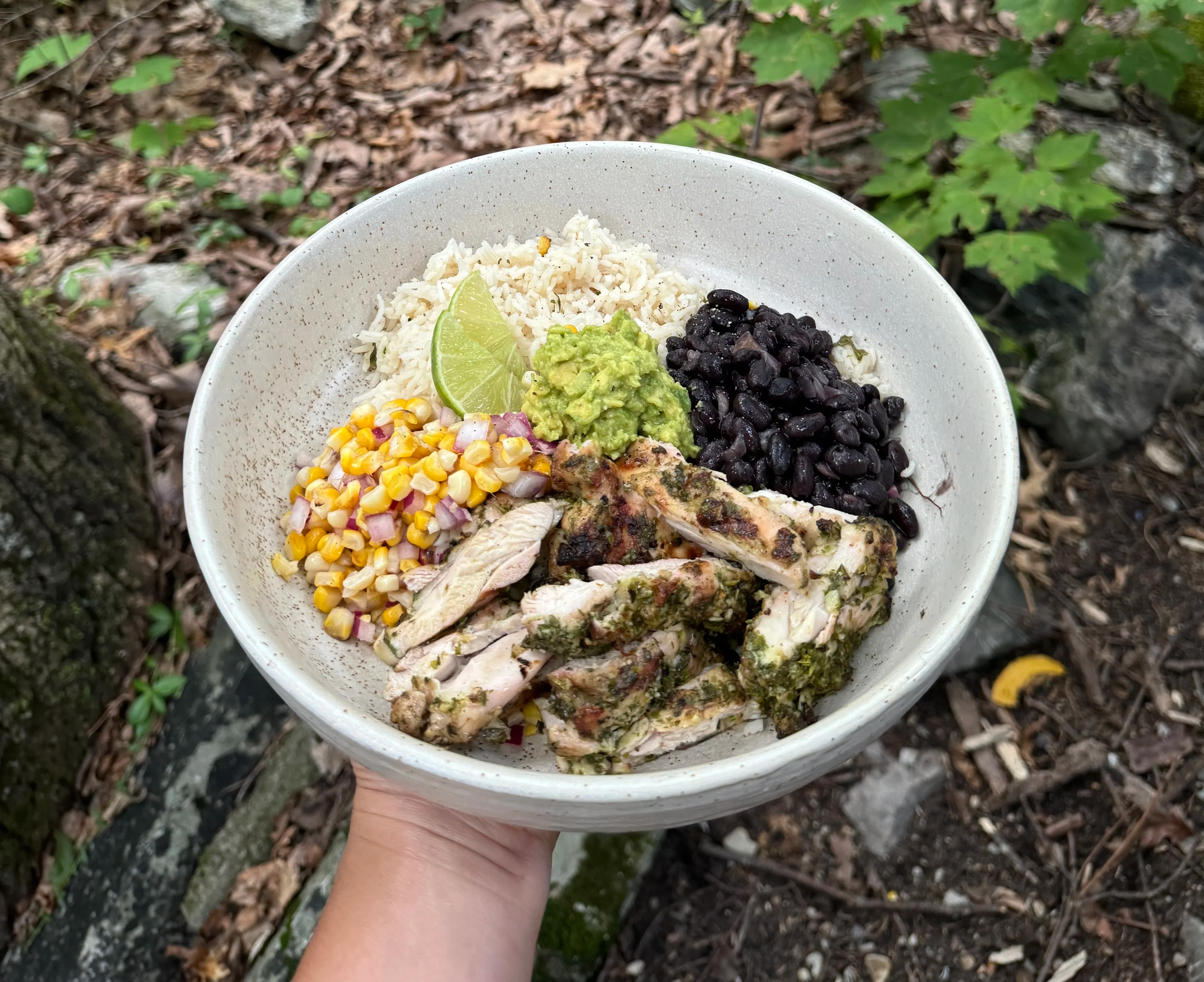 at-home-chipotle-bowls
