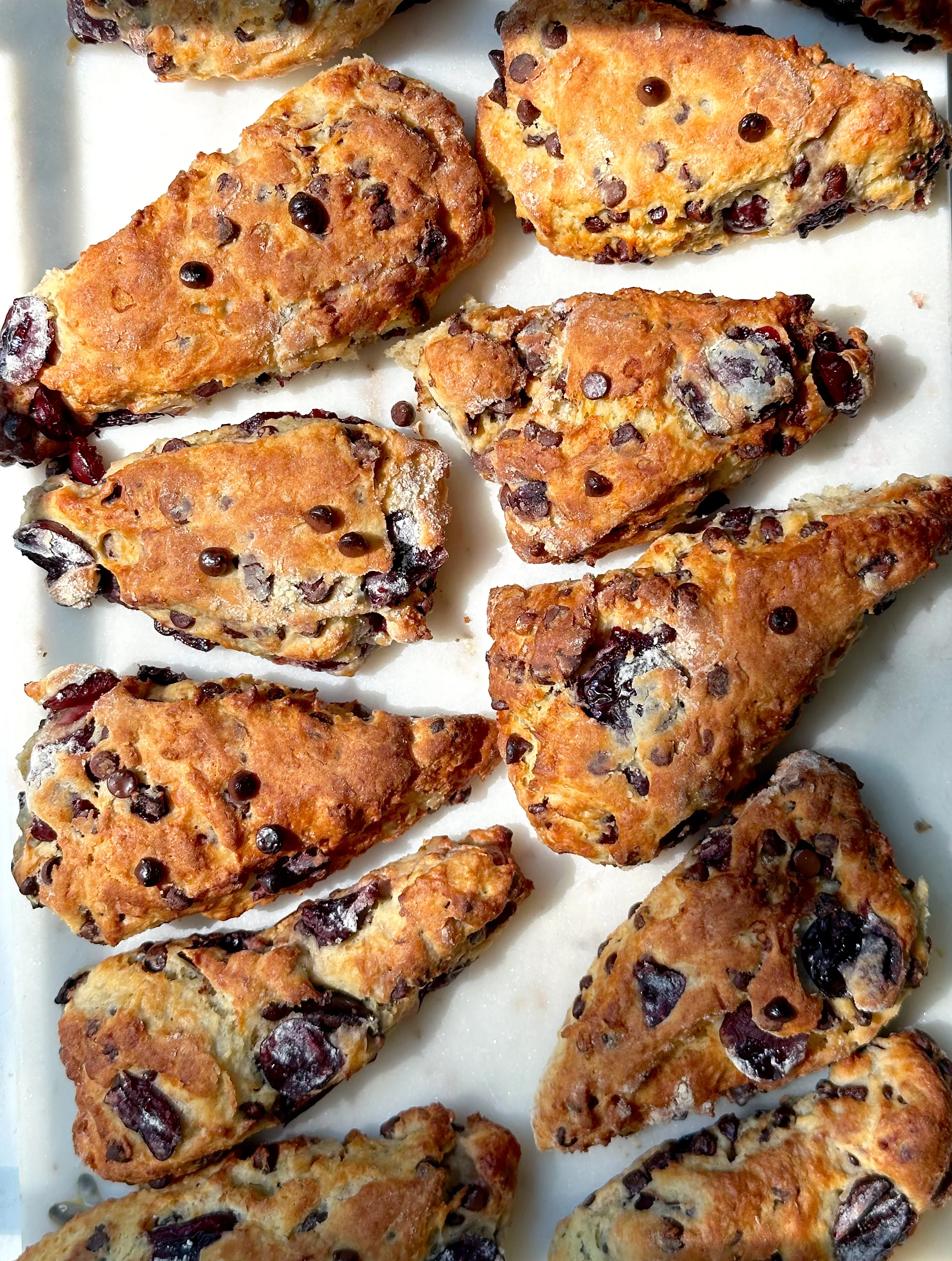 sugar-free-chocolate-cherry-walnut-scones