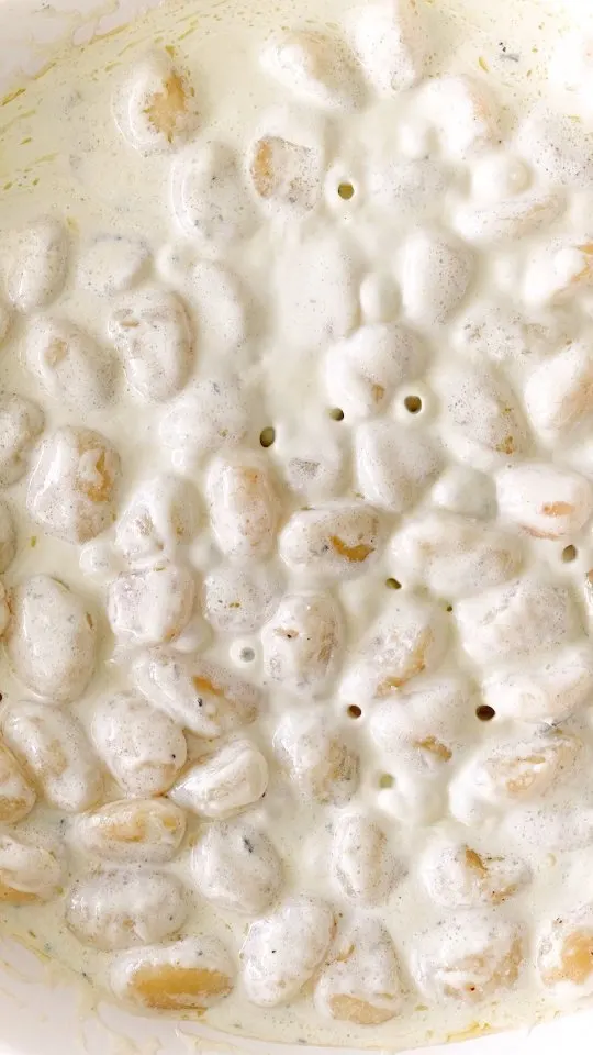 black-truffle-and-blue-cheese-gnocchi