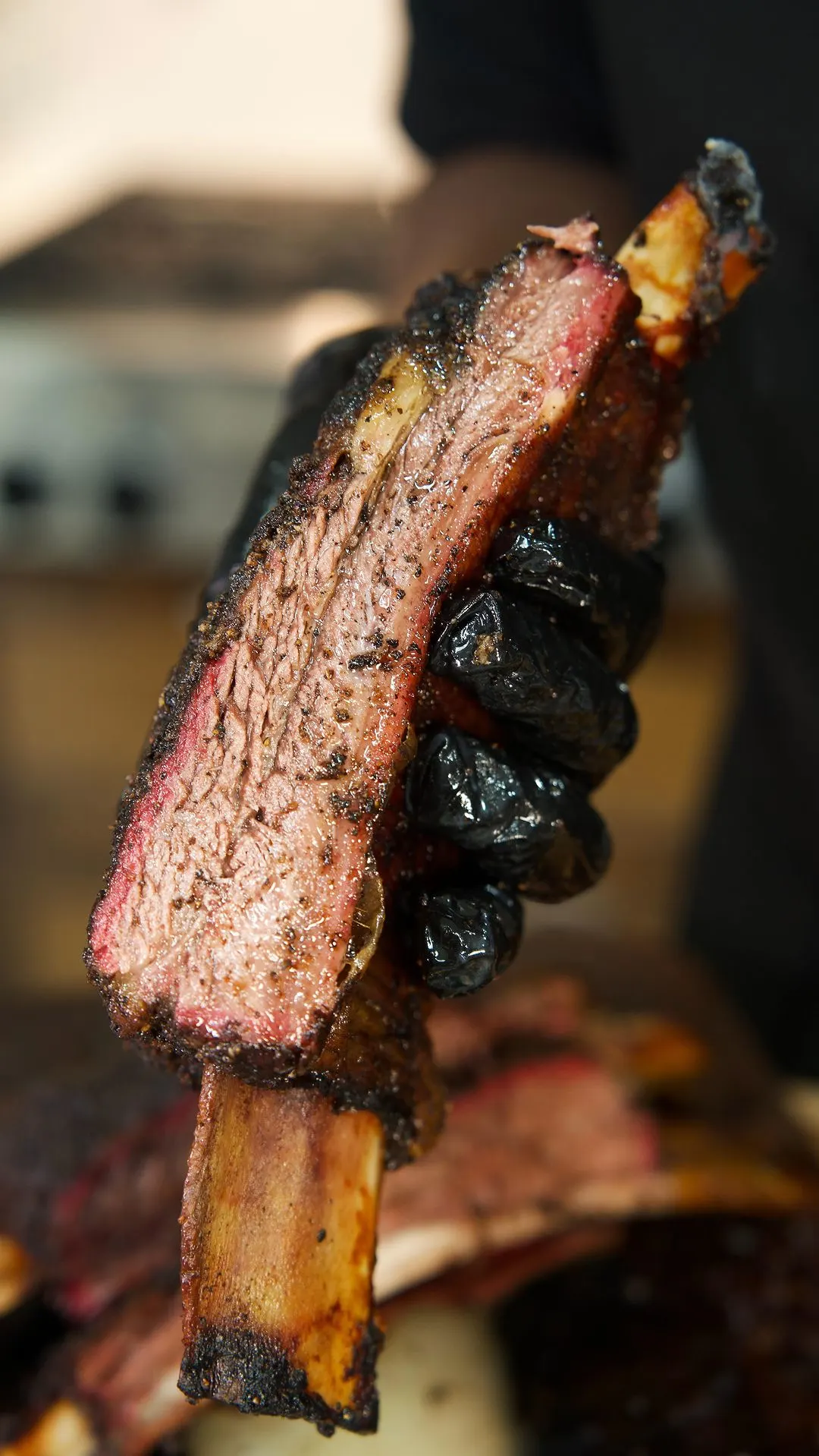 smoked-beef-dino-ribs