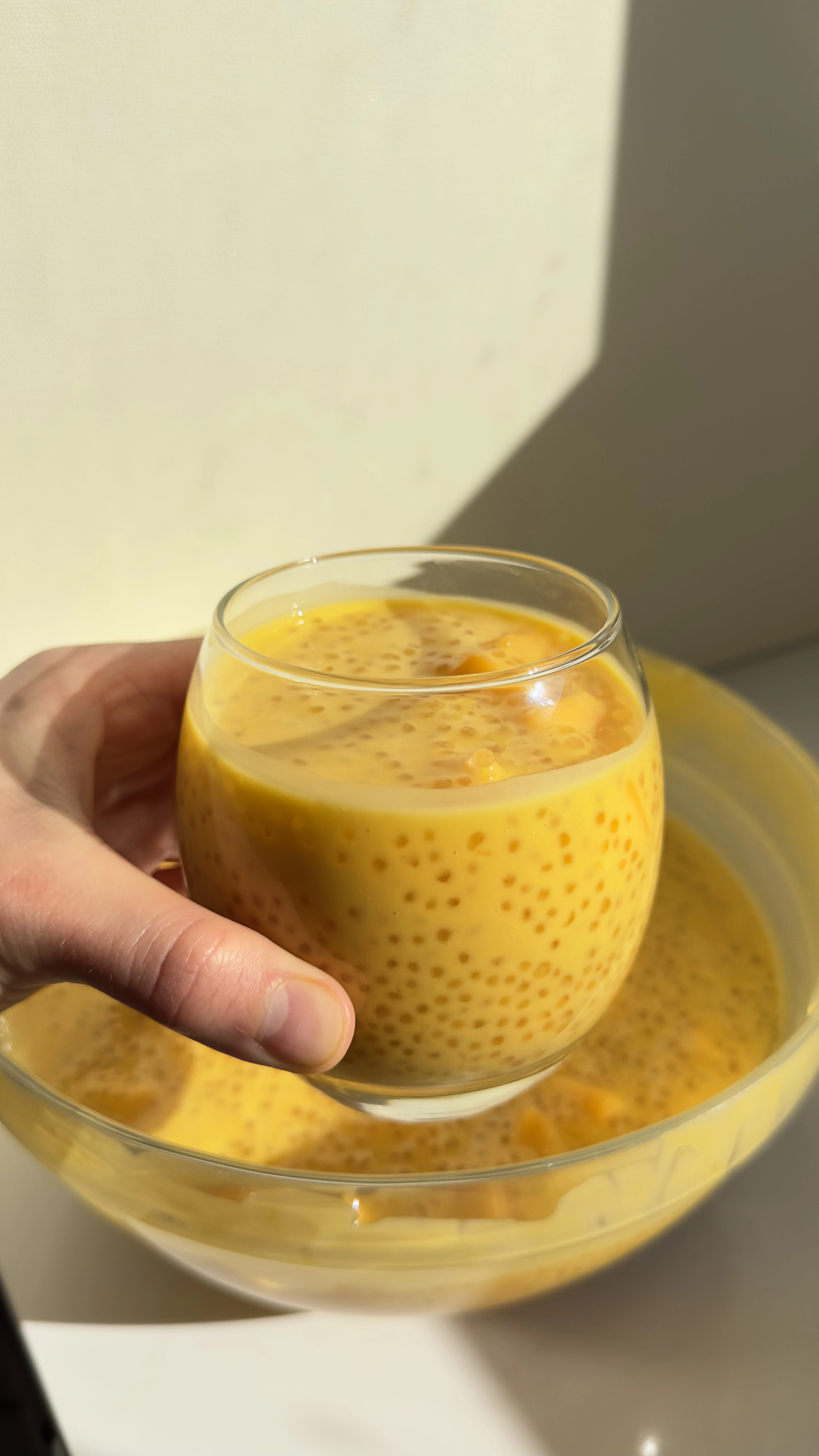 mango-sago