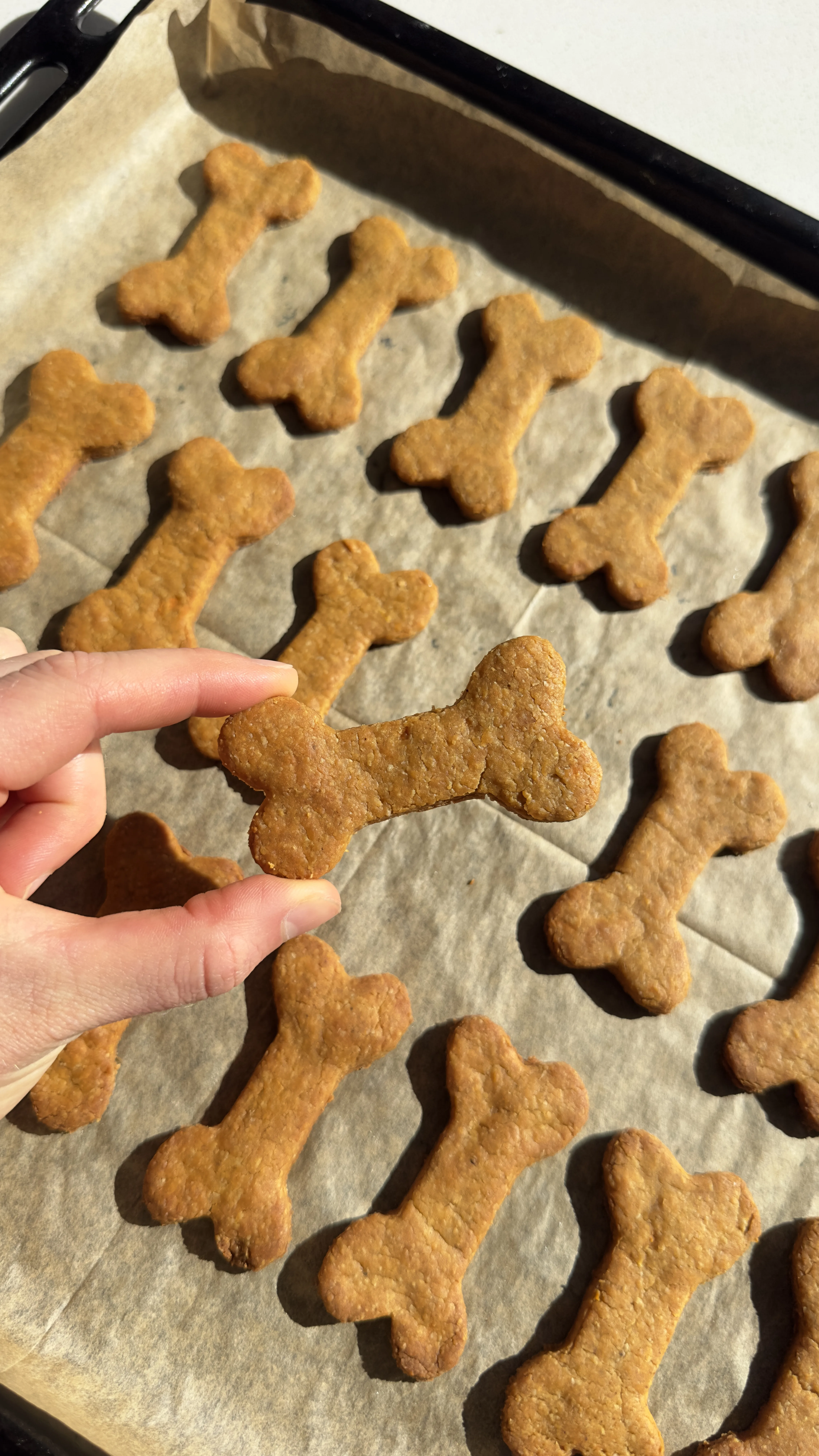 vegan-dog-treats