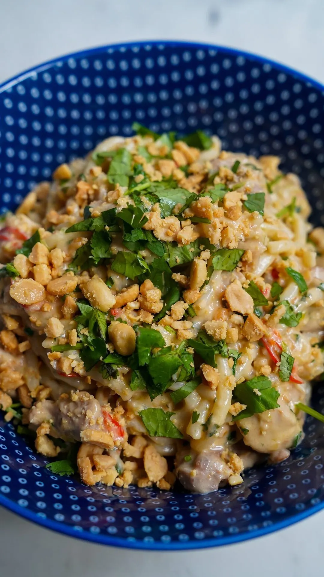 chicken-satay-noodles