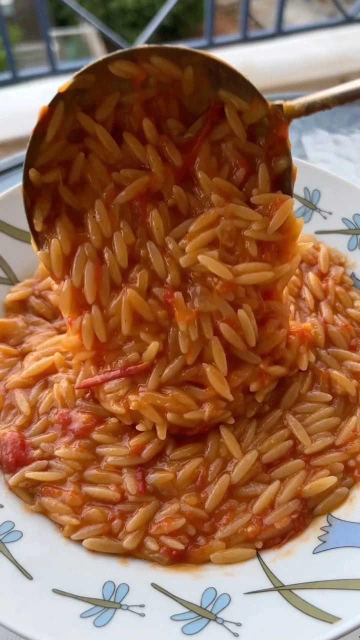 orzo-on-holiday