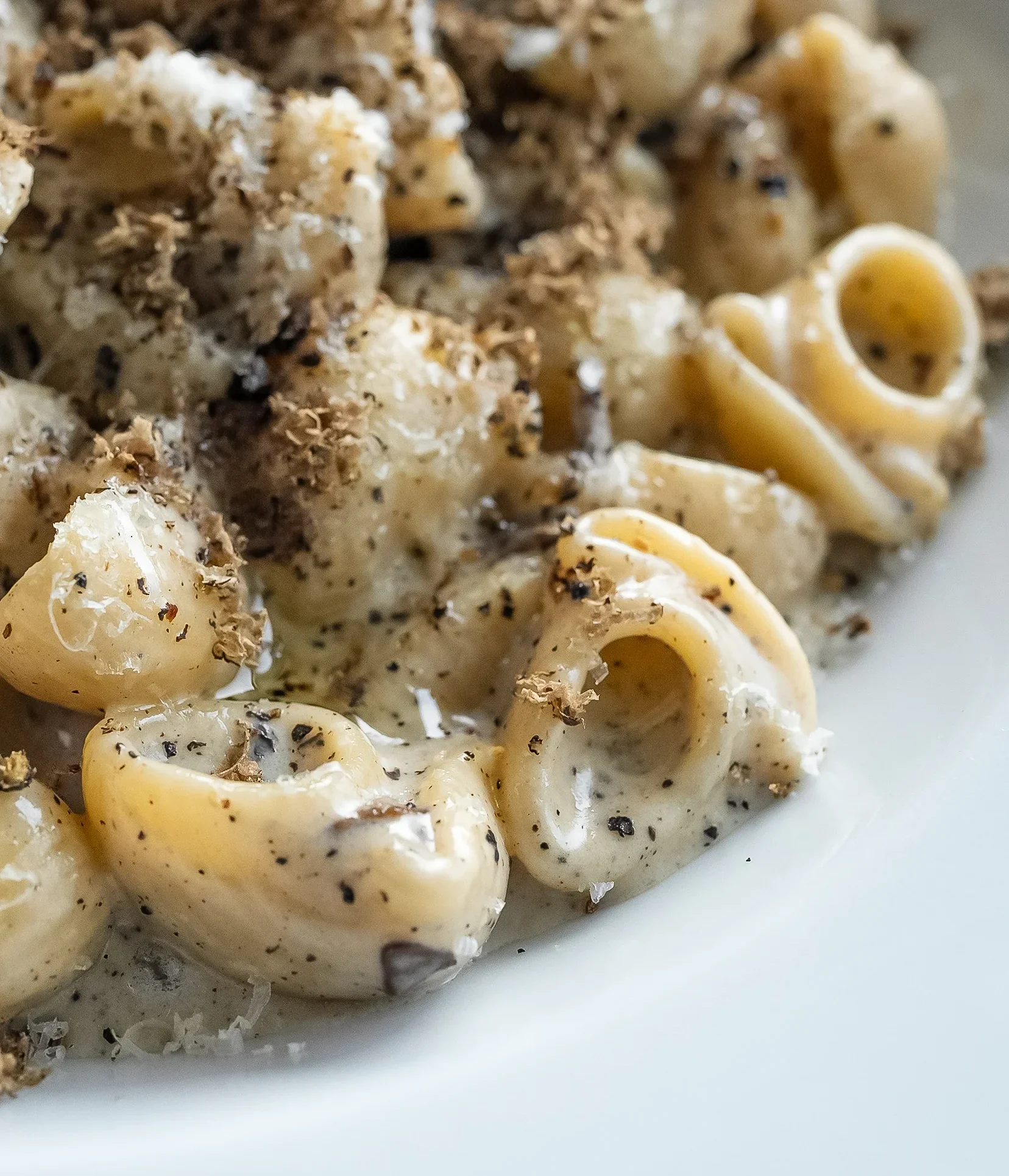 creamy-black-truffle-shellbows