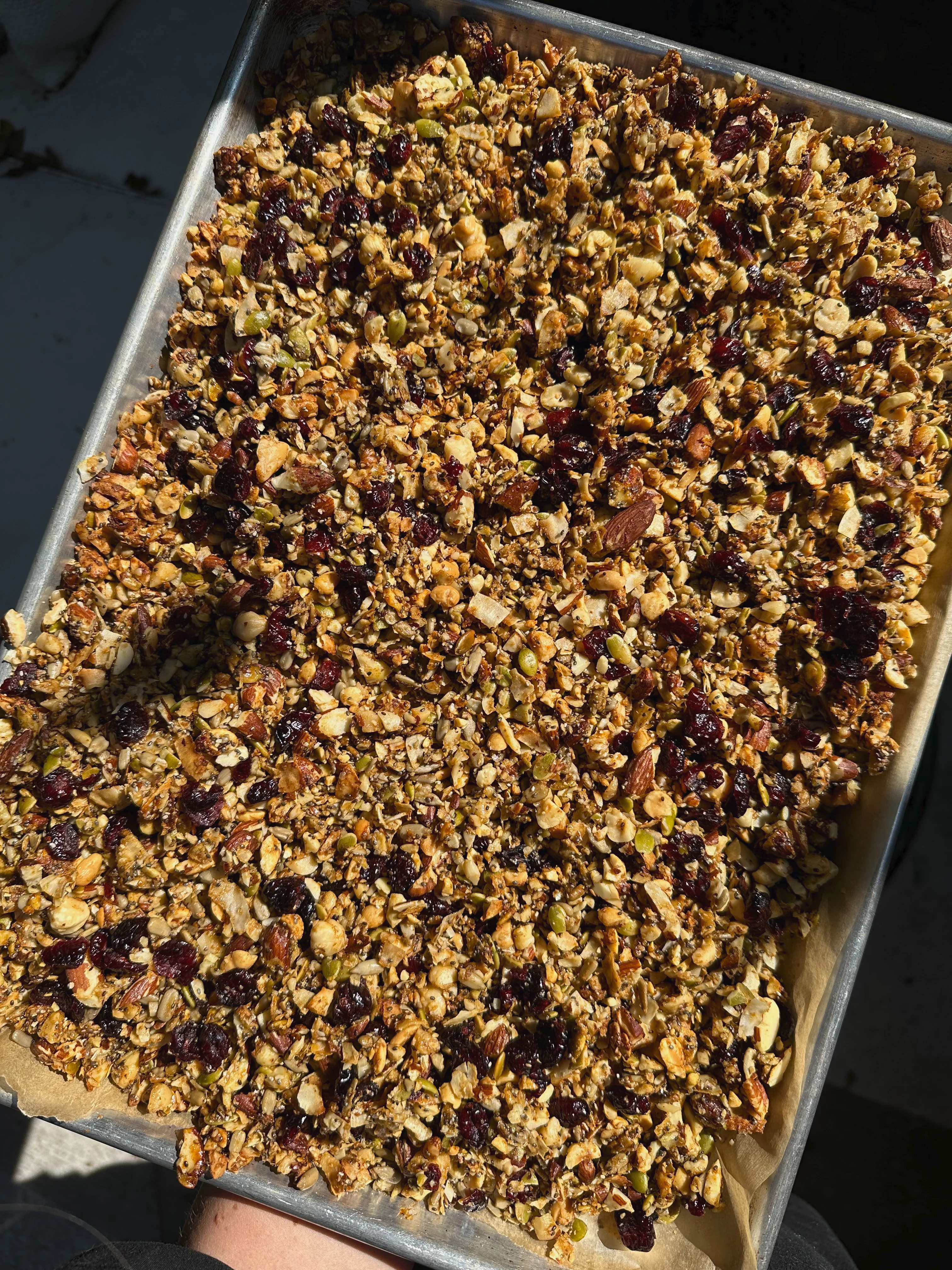 lightly-sweetened-nut-and-seed-granola-2