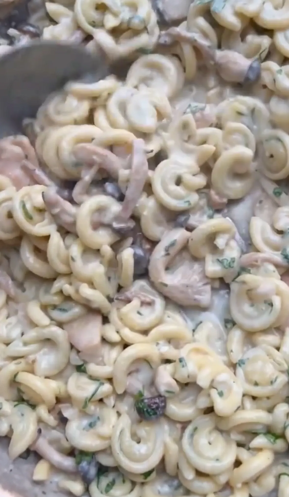 mushroom-tarragon-pasta