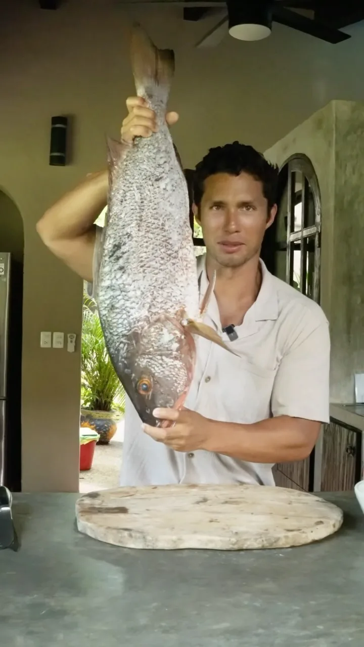 ceviche-(mexico)-ceviche-(mexico)