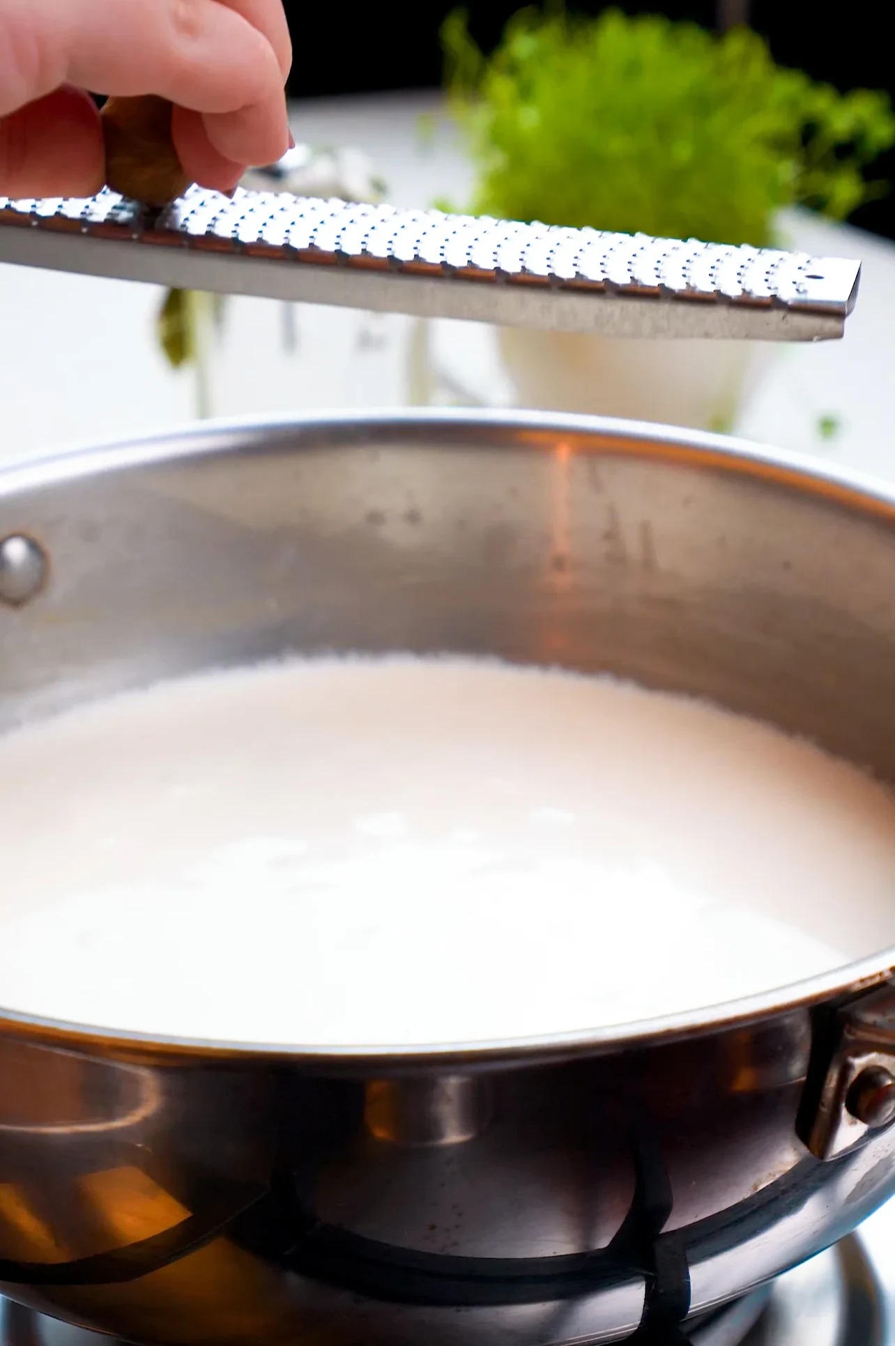molho-bechamel