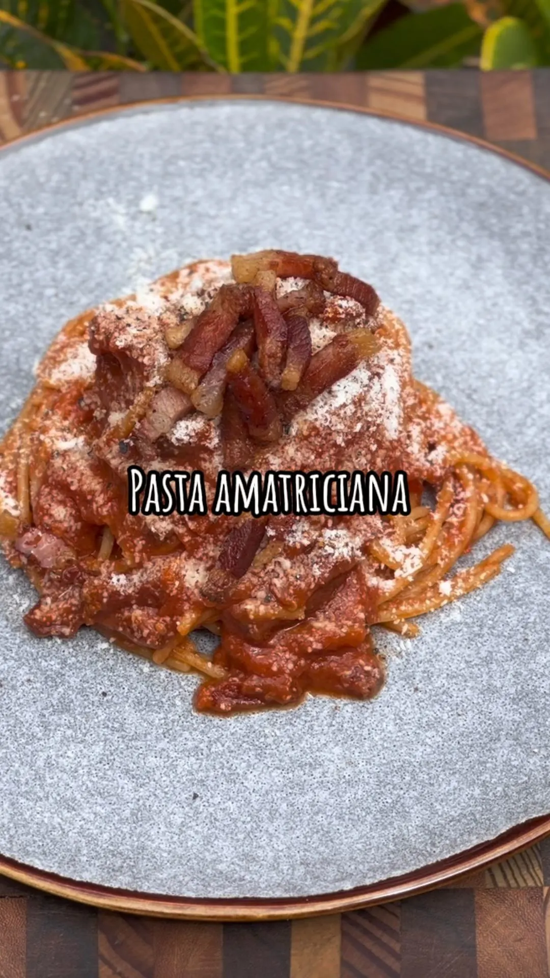 pasta-amatriciana-amatriciana-pasta