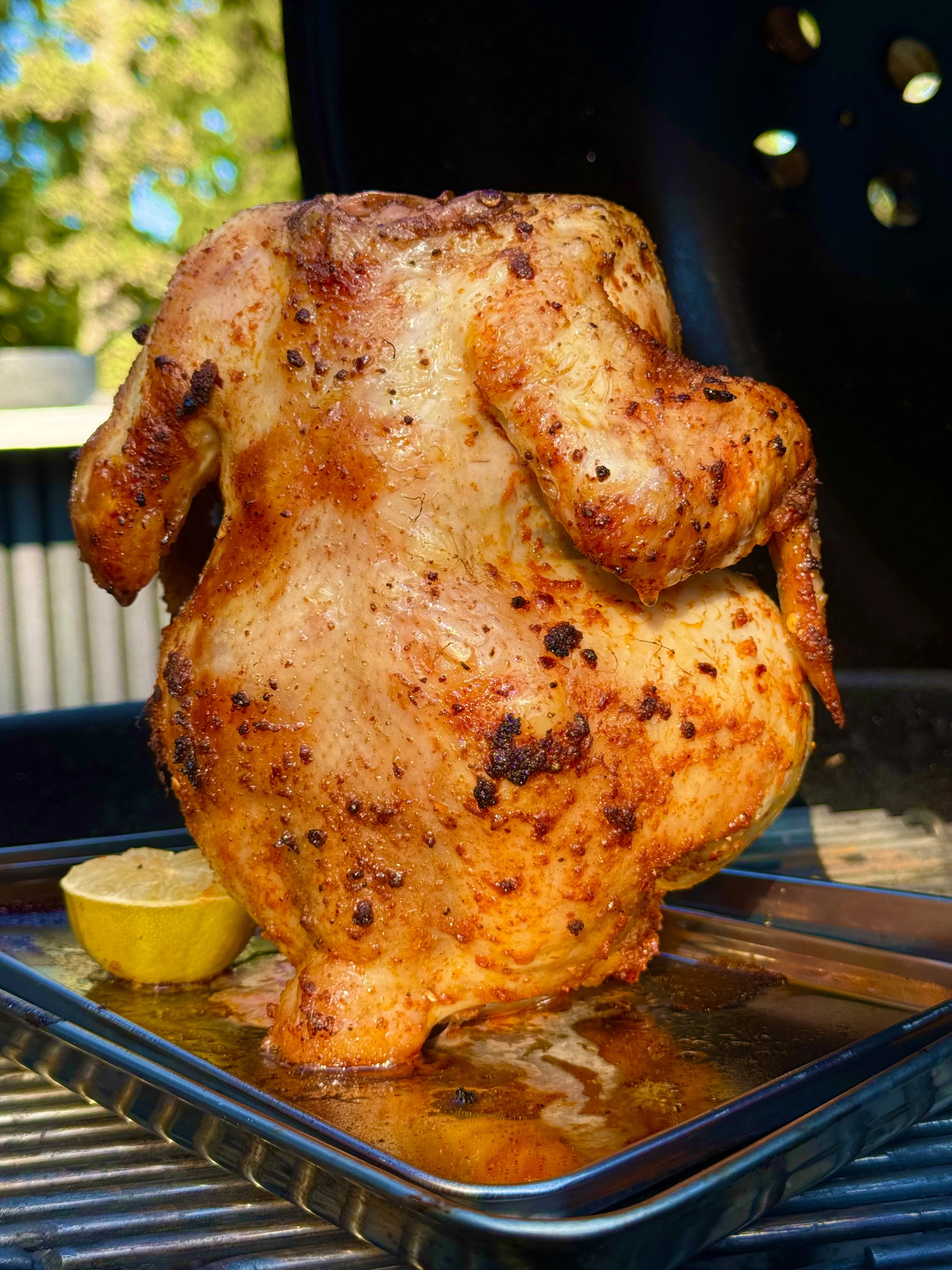 beer-can-chicken