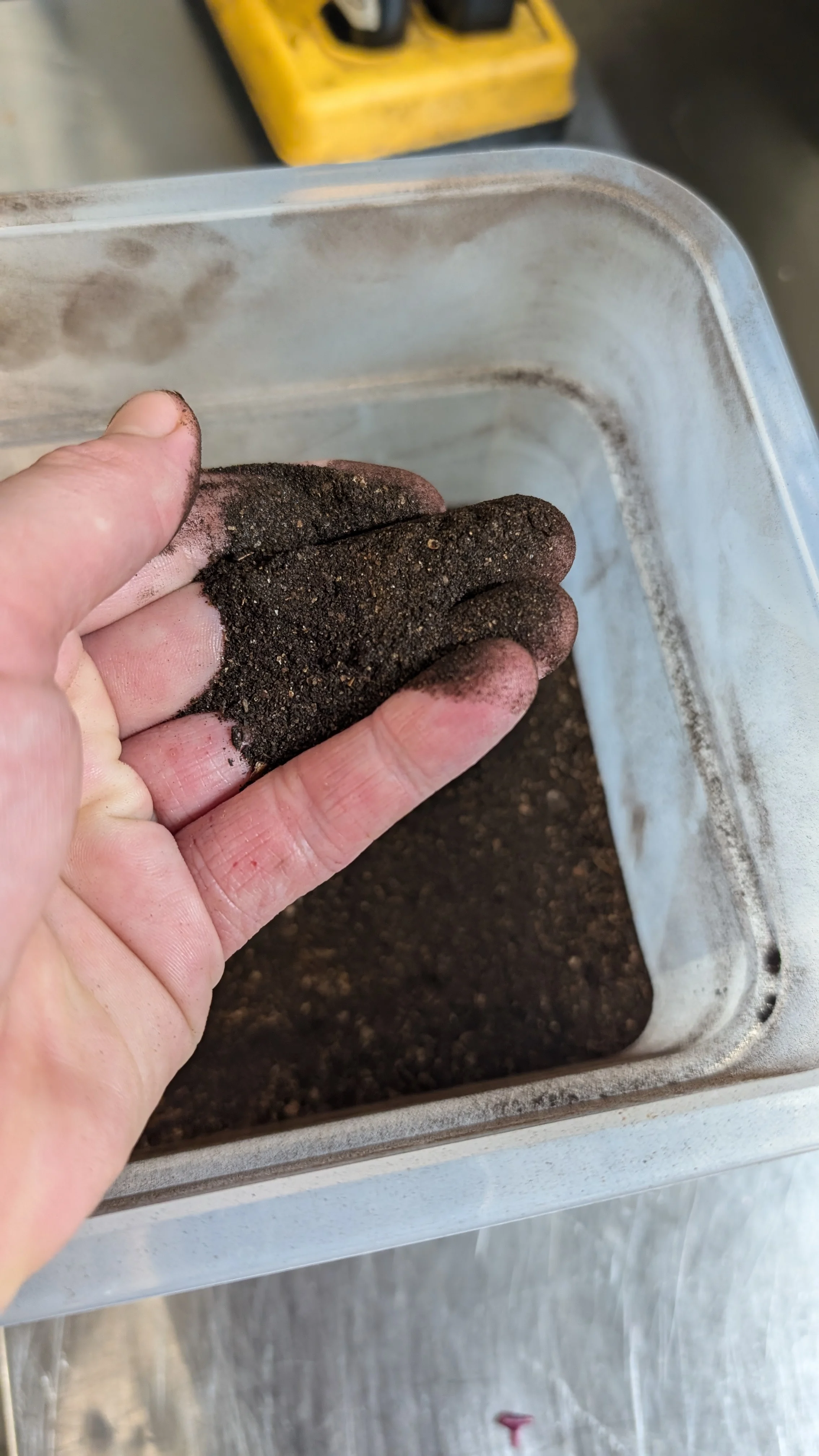 onion-ash