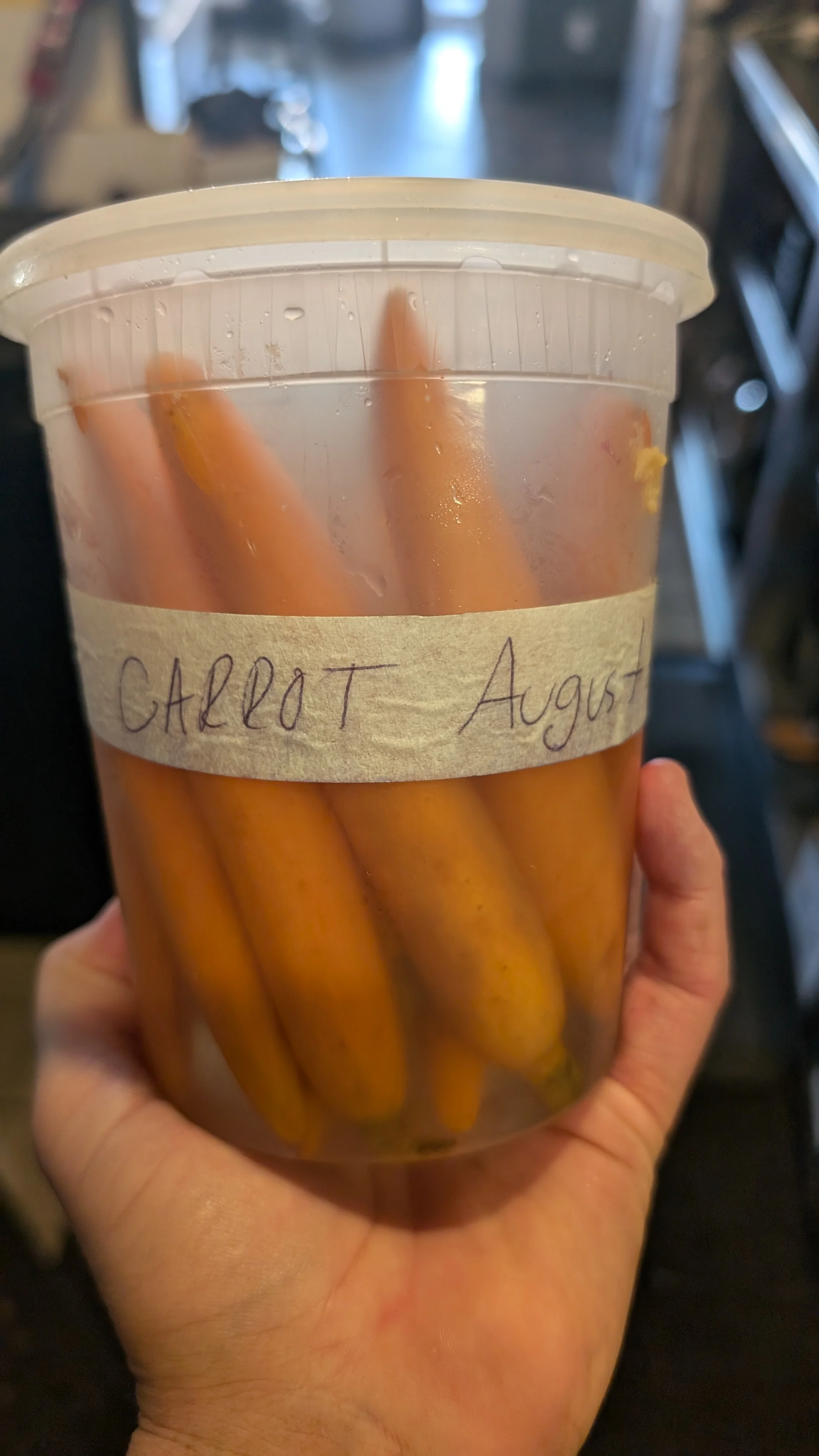 scandinavian-pickle-brine