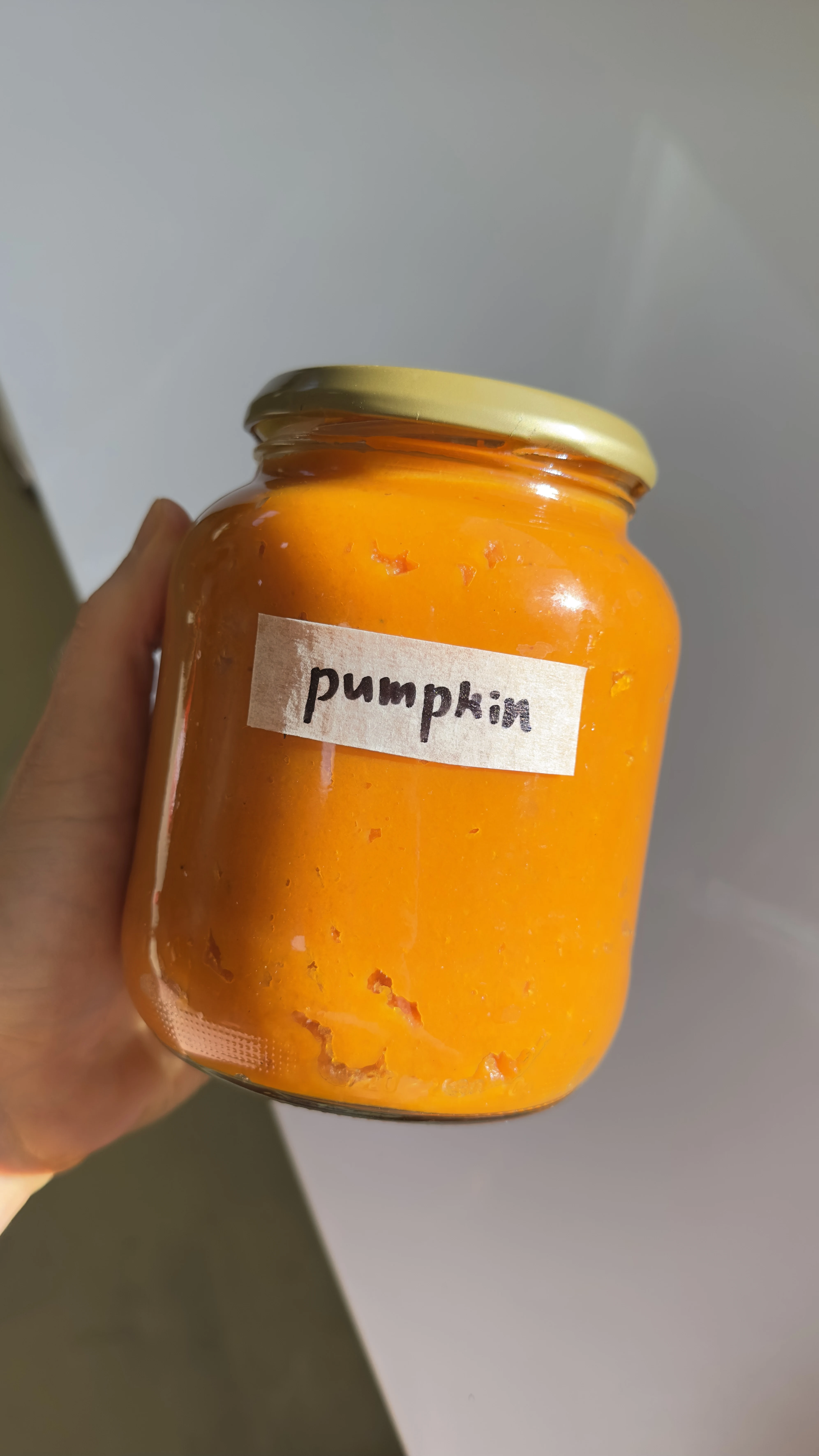 homemade-pumpkin-puree-and-crunchy-pumpkin-seeds