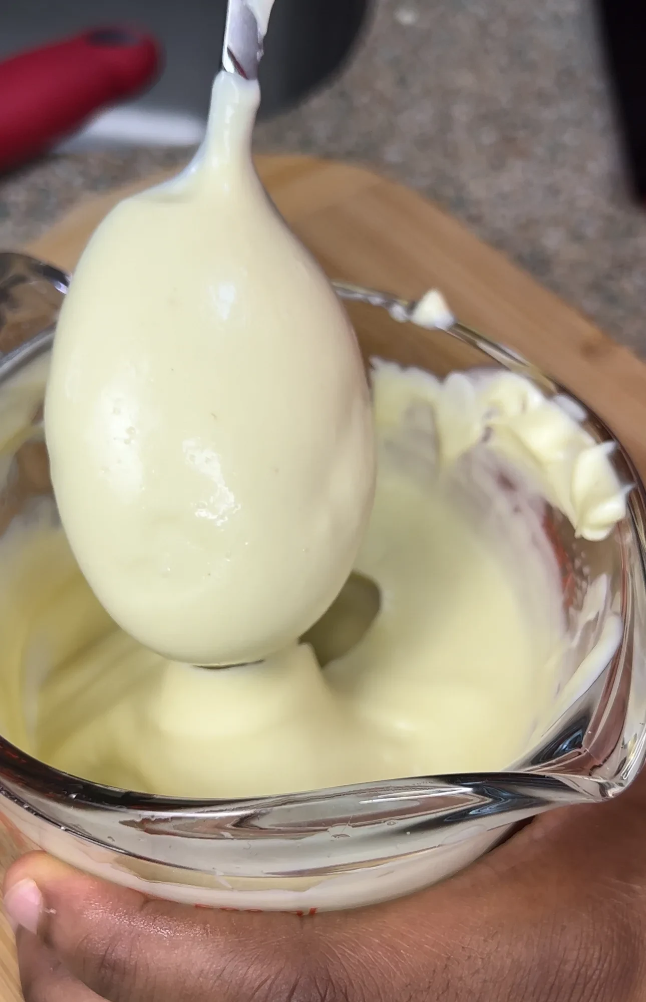 homemade-mayo-bonus-garlic-aioli