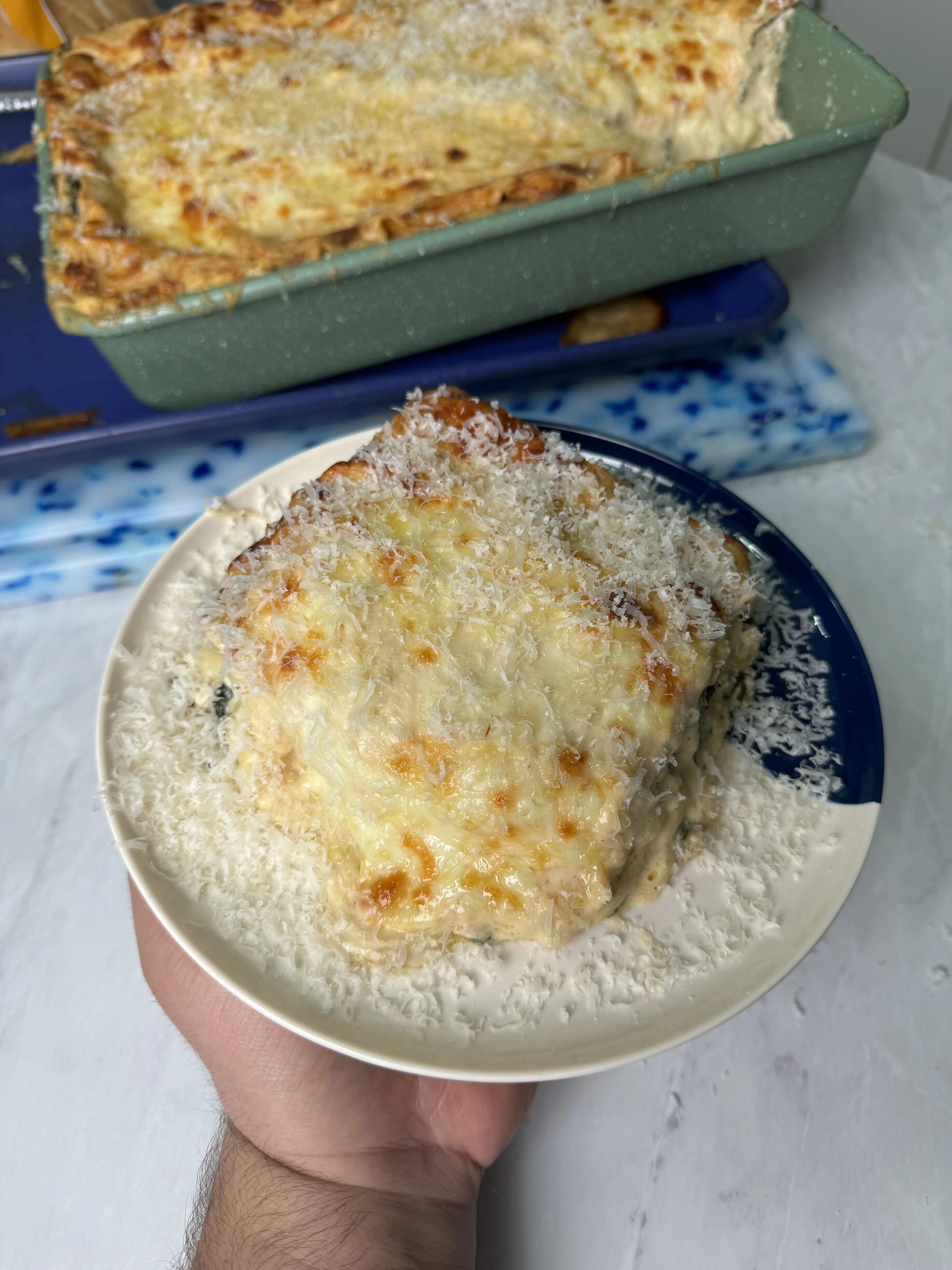 chicken-alfredo-lasagna