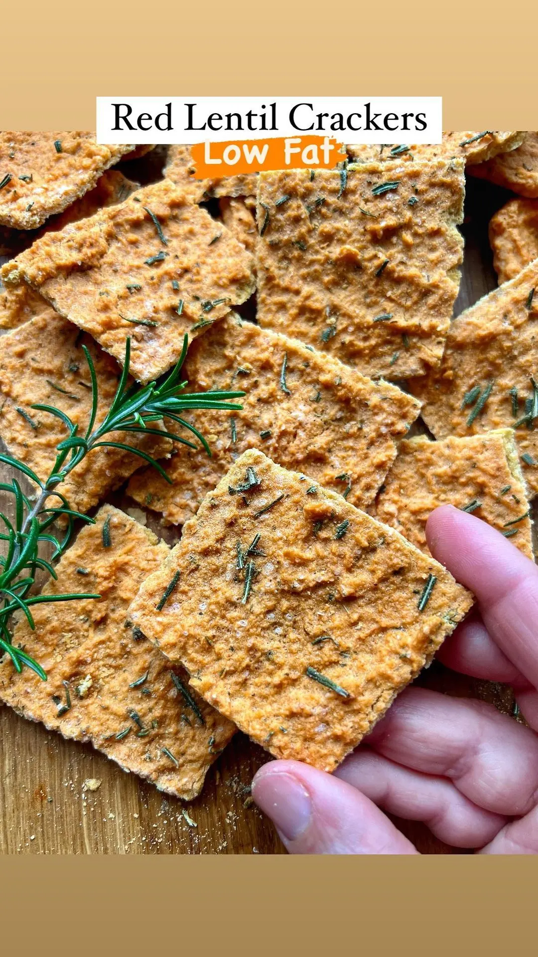 diet-friendly-high-protein-low-fat-red-lentil-crackers