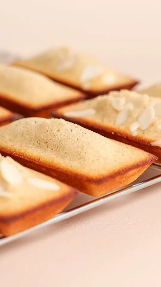 financier