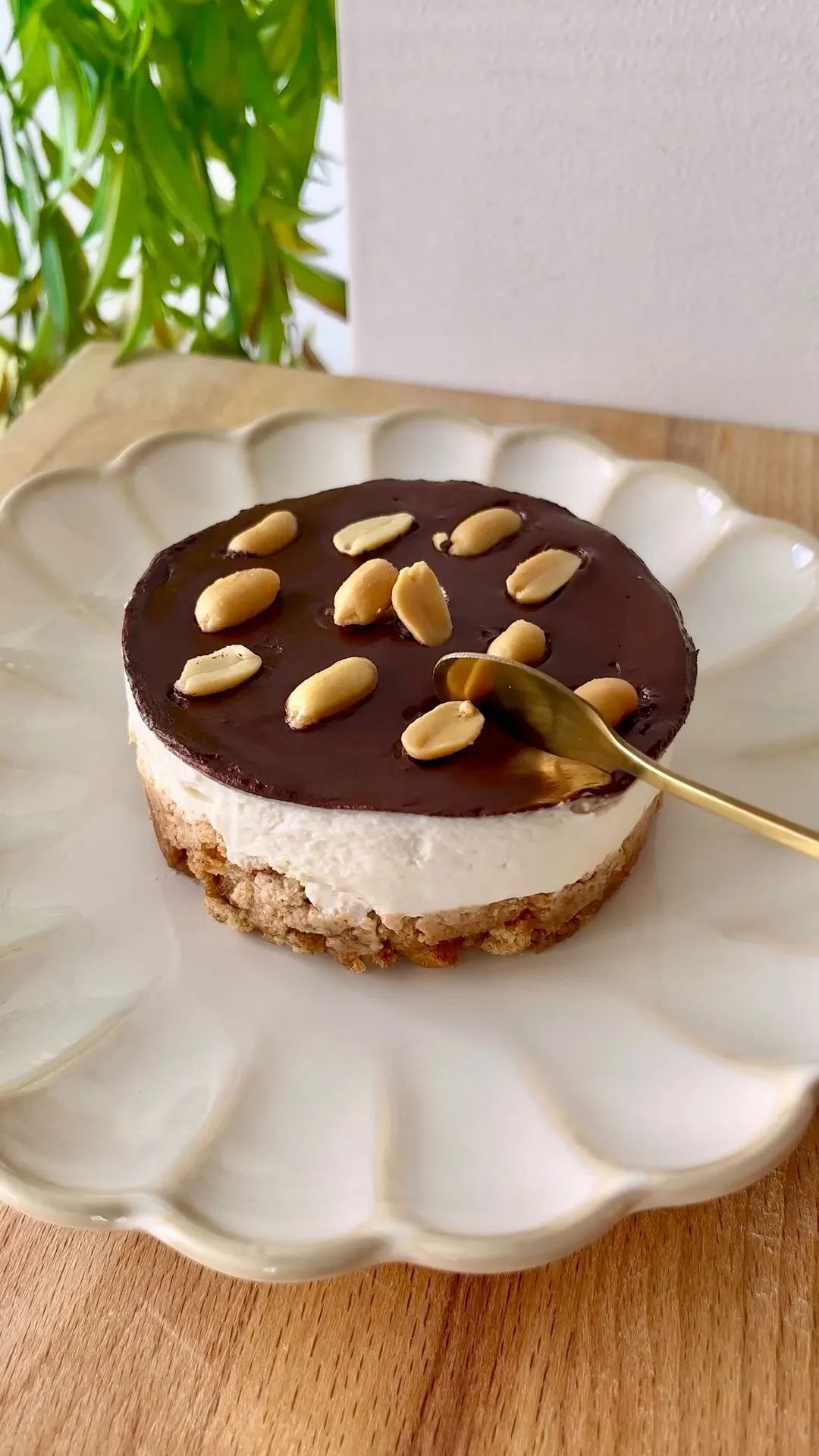 cheesecake-arachidi-e-cioccolato