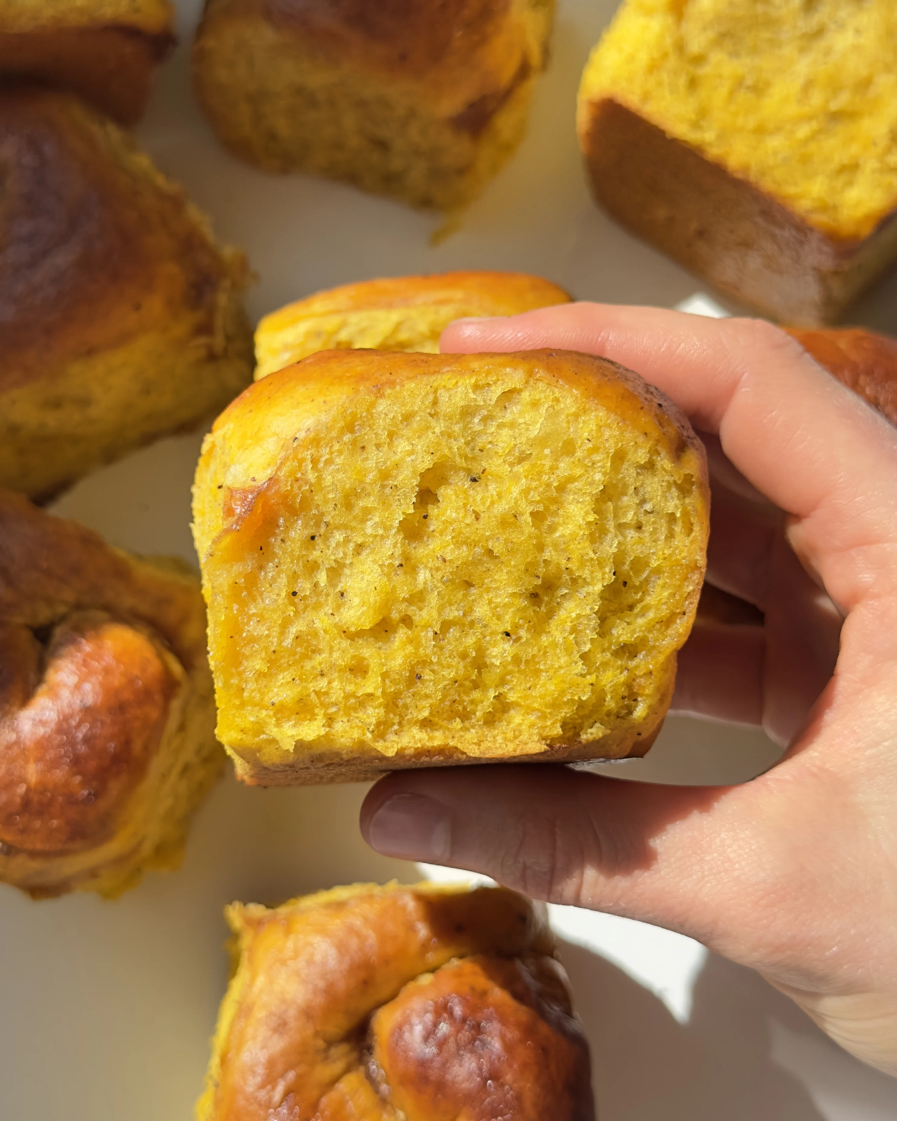 pumpkin-buns-2